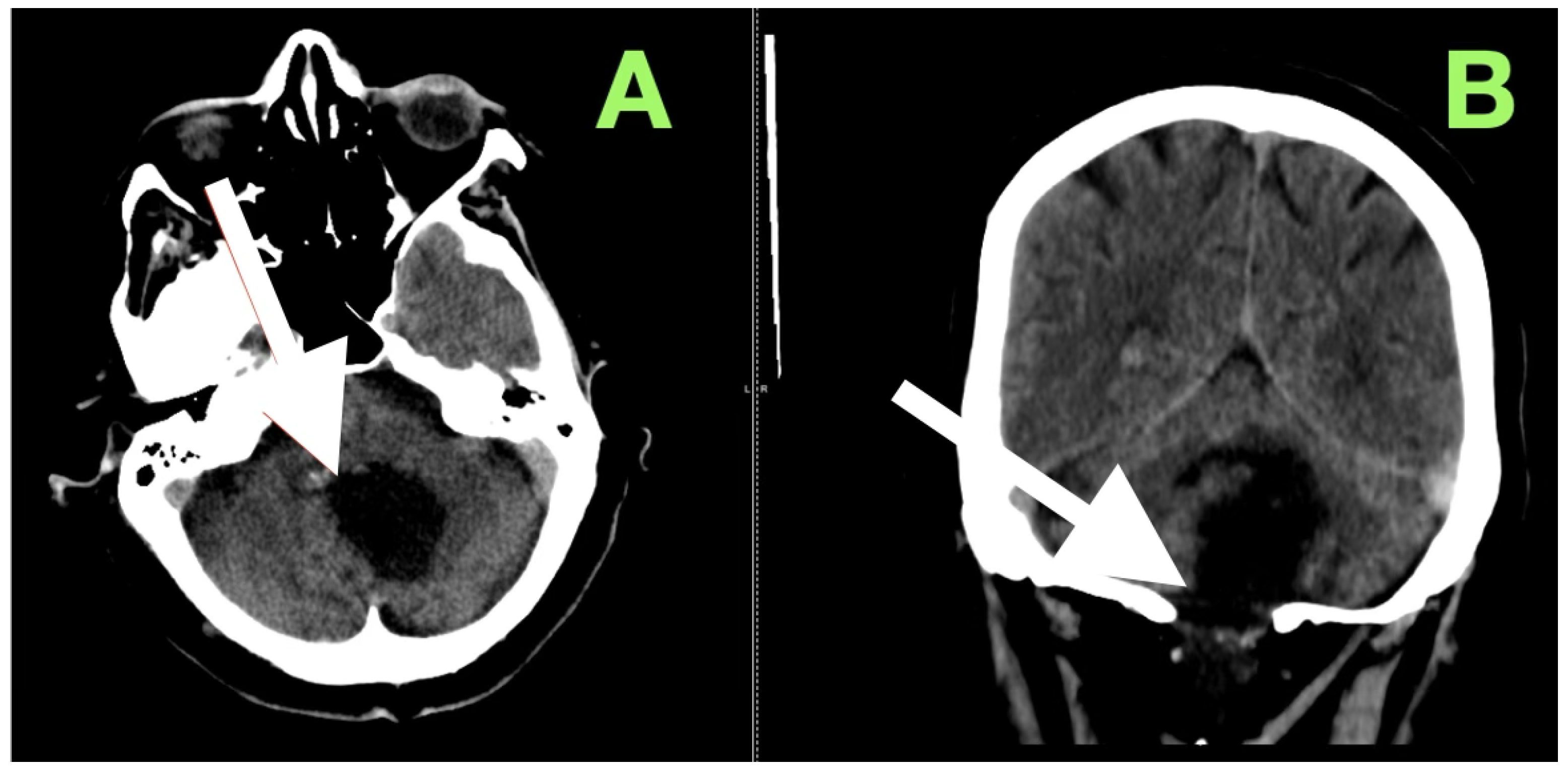 Diagnostics 15 02600 g003