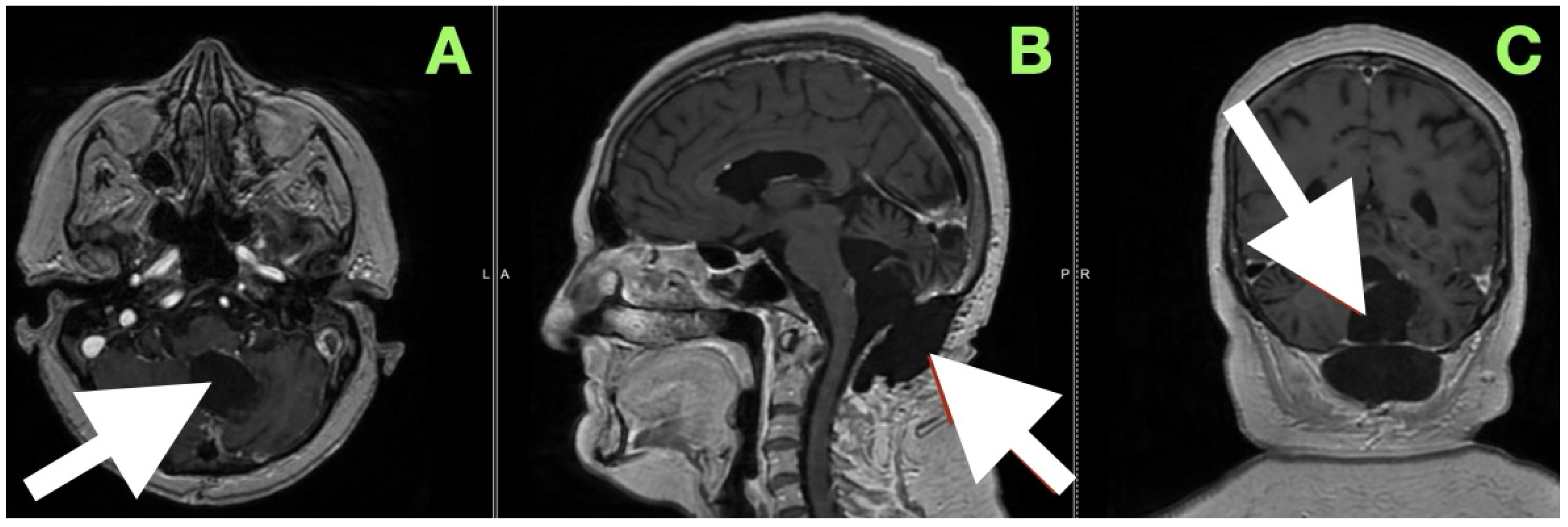Diagnostics 15 02600 g004