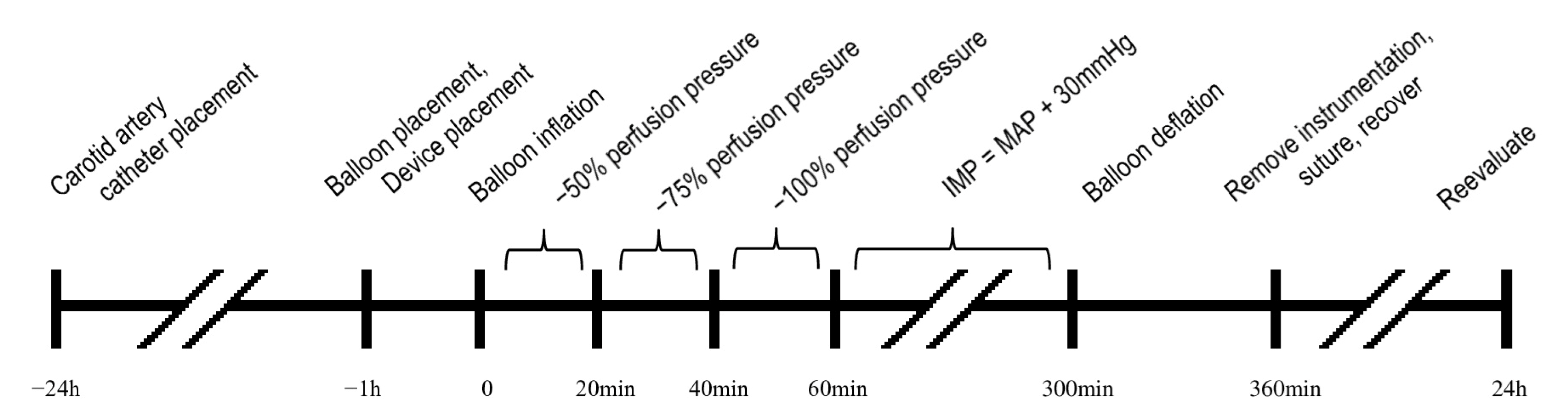 Diagnostics 15 02607 g001
