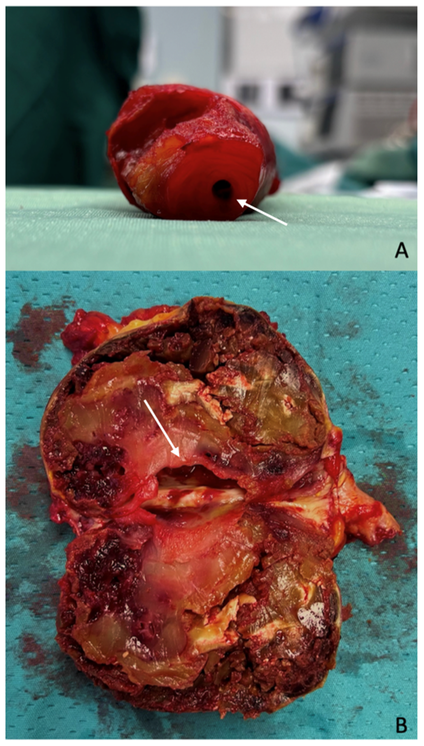 Diagnostics 15 02608 g001