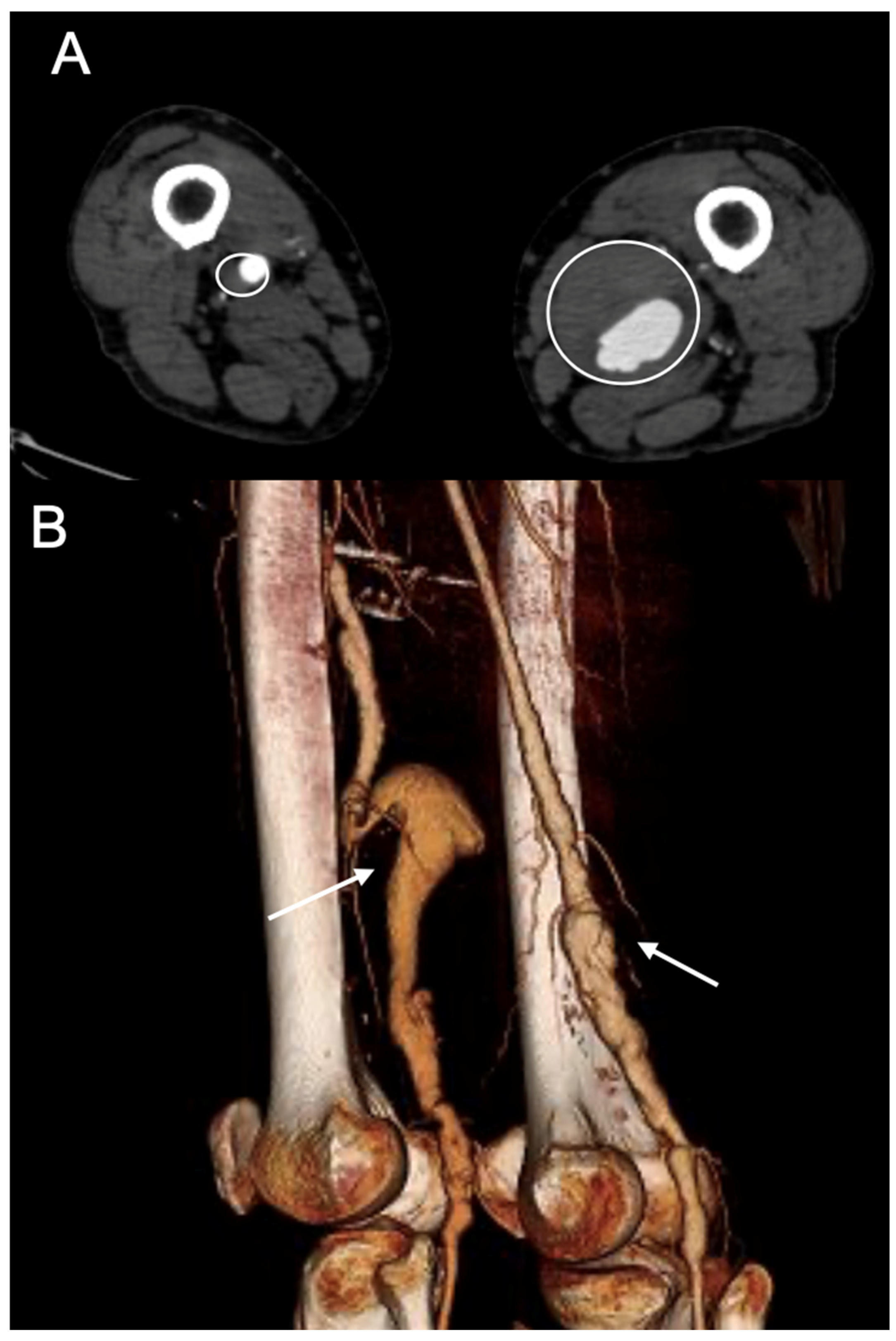 Diagnostics 15 02608 g002