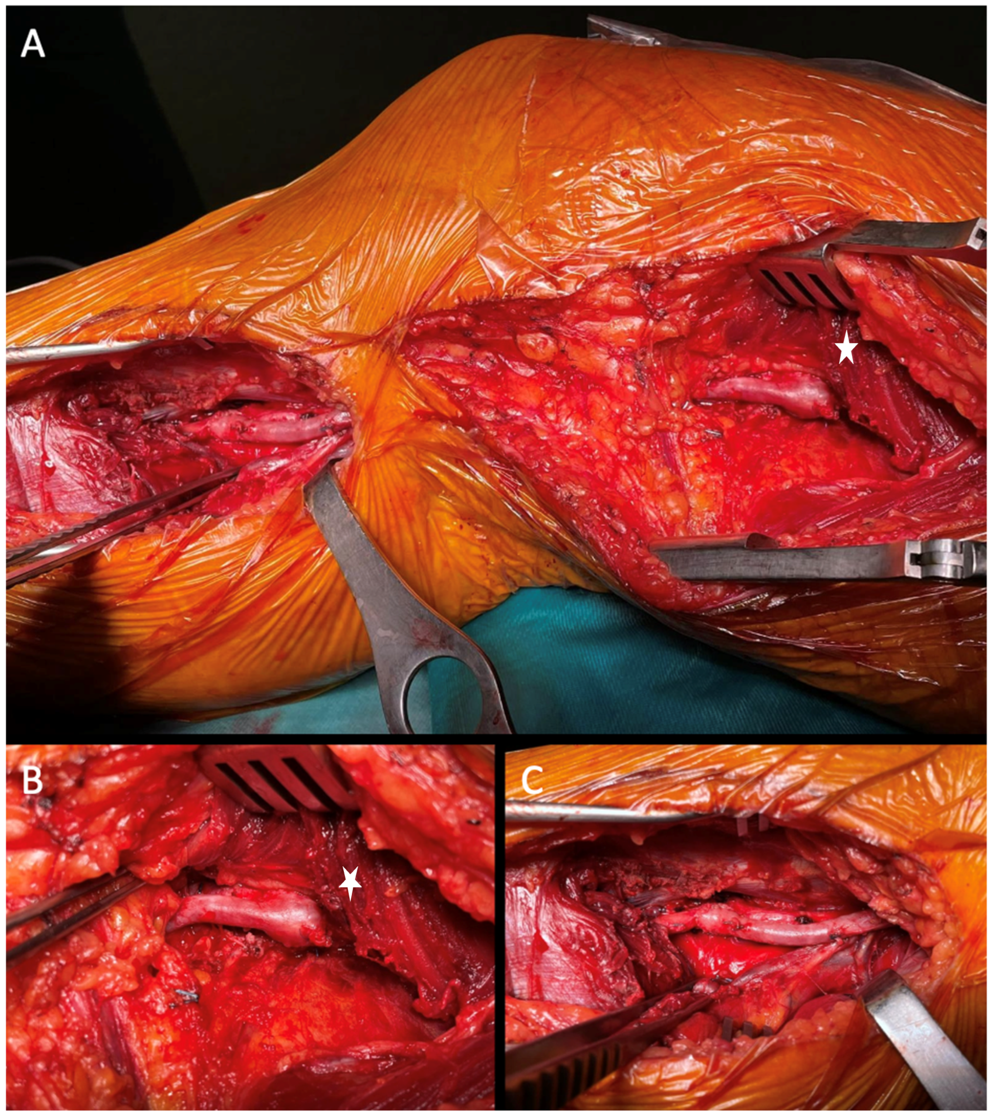 Diagnostics 15 02608 g004