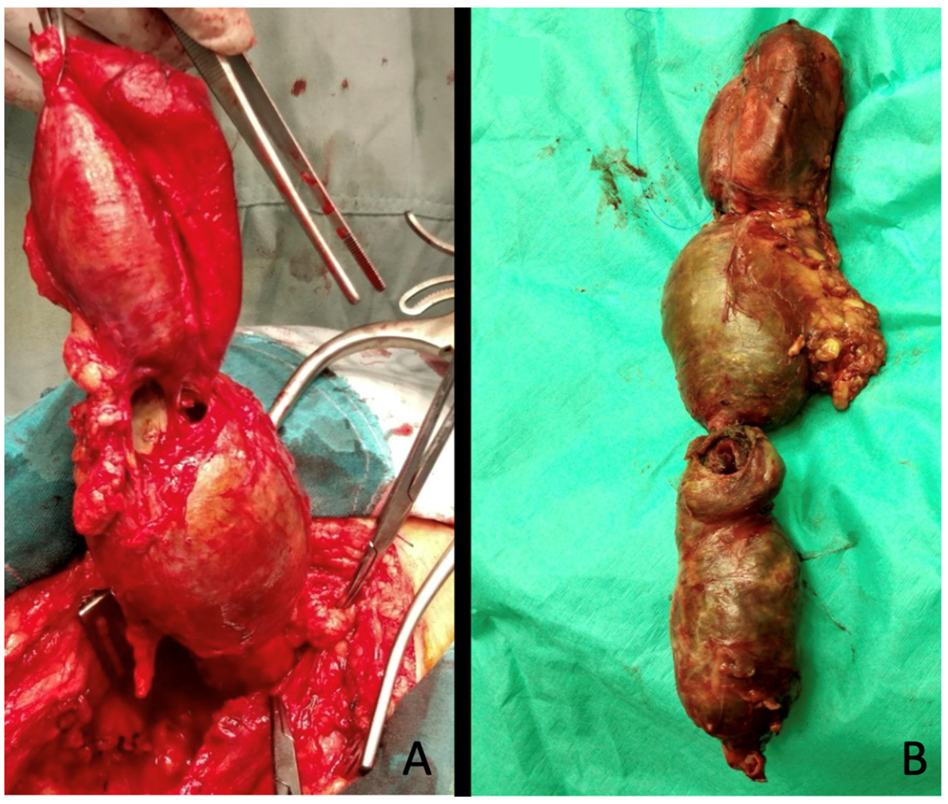 Diagnostics 15 02608 g005