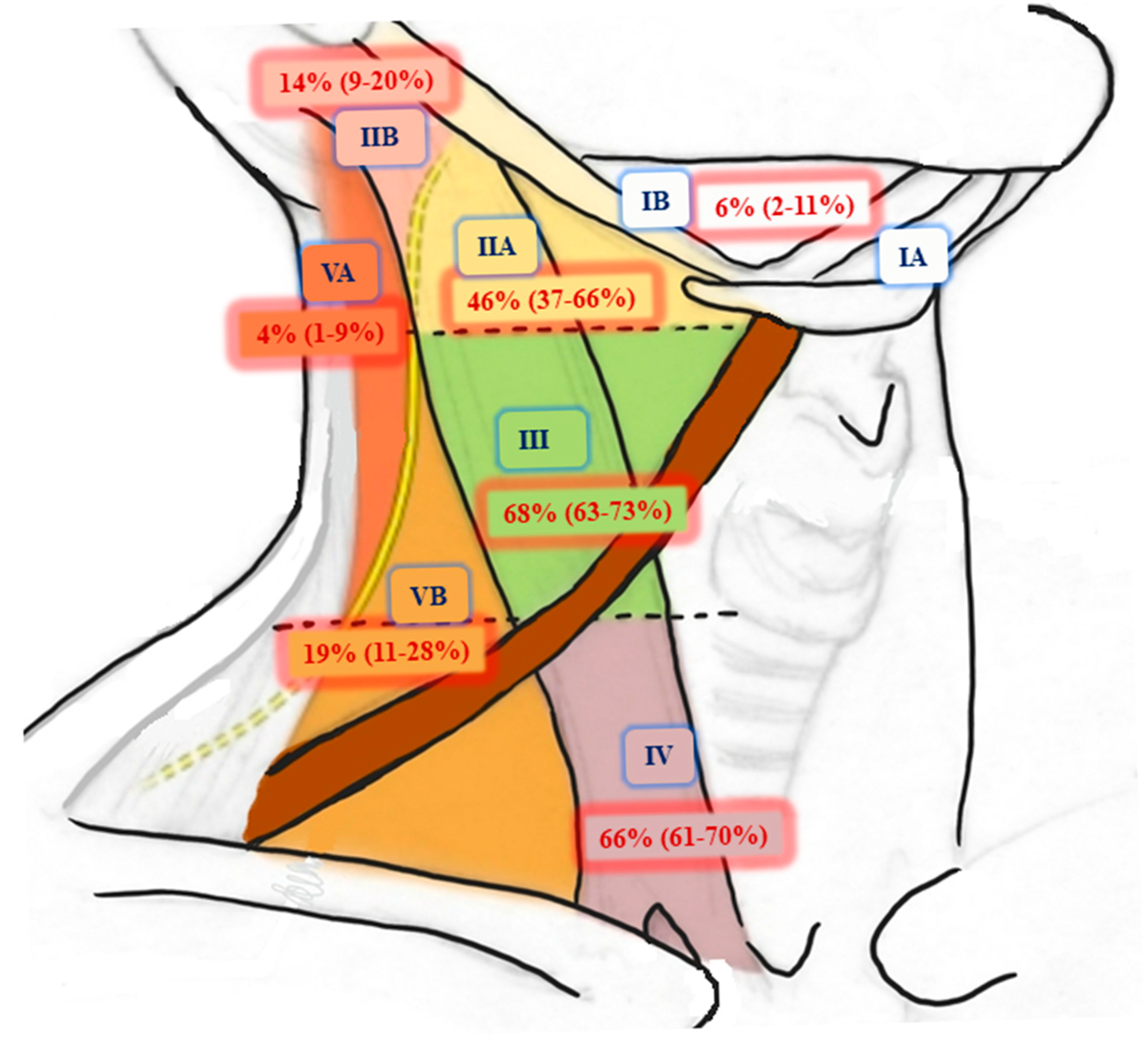Diagnostics 15 02613 g001 Diagnostics 15 02613 g001