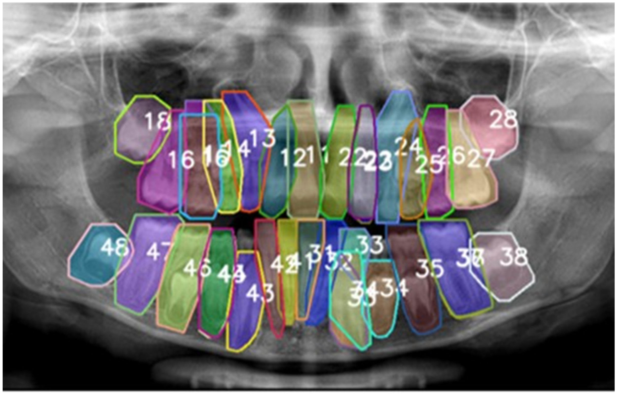 Diagnostics 15 02615 g001