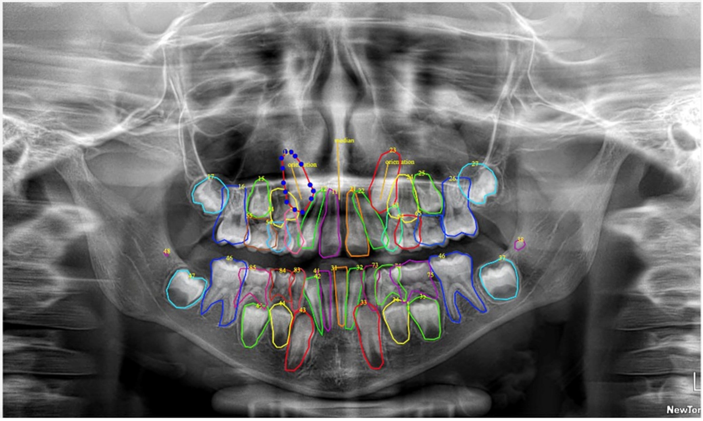 Diagnostics 15 02615 g002