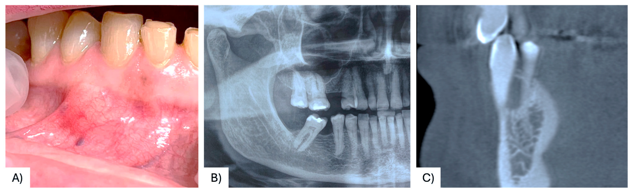 Diagnostics 15 02616 g002