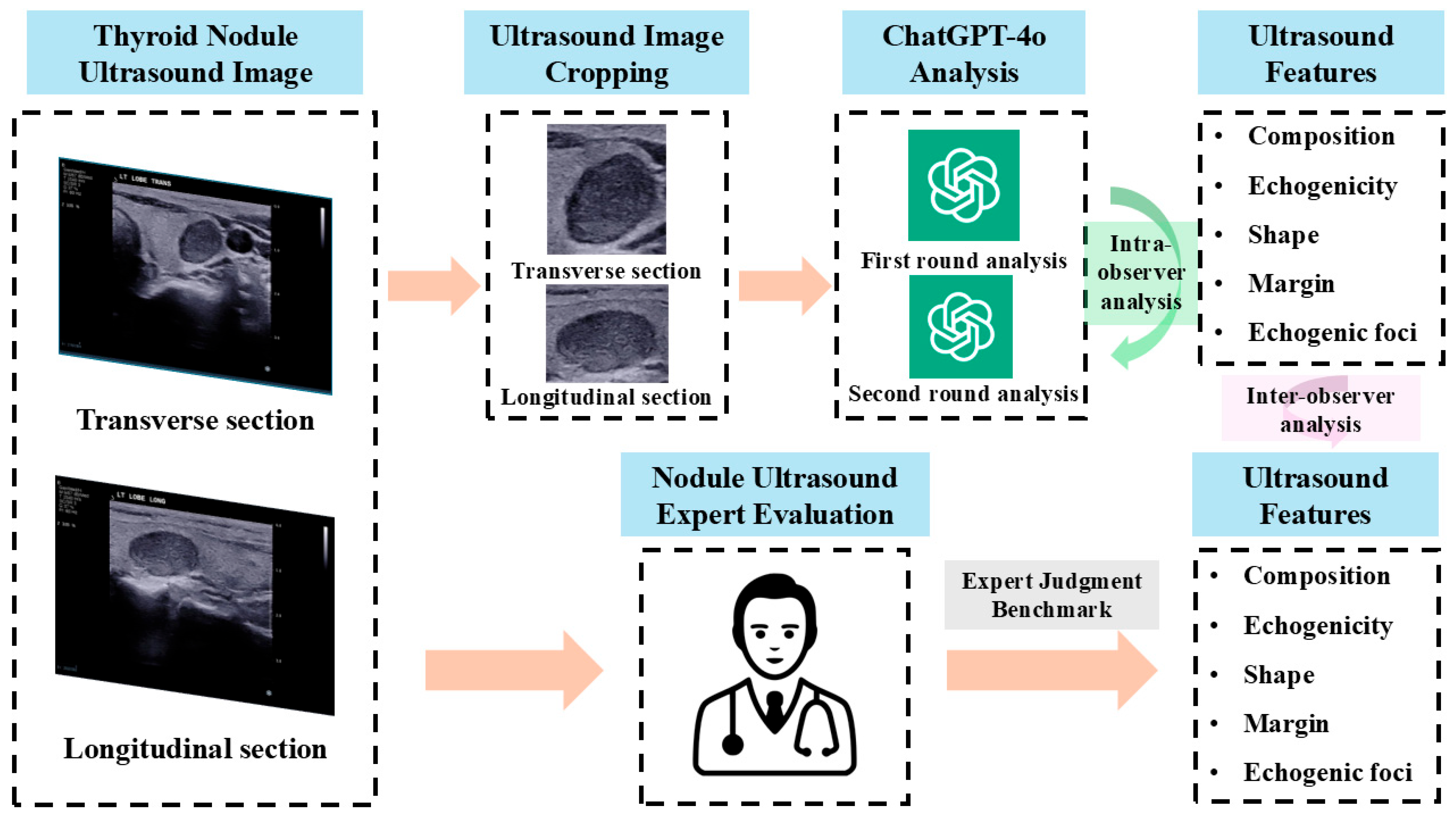 Diagnostics 15 02617 g001