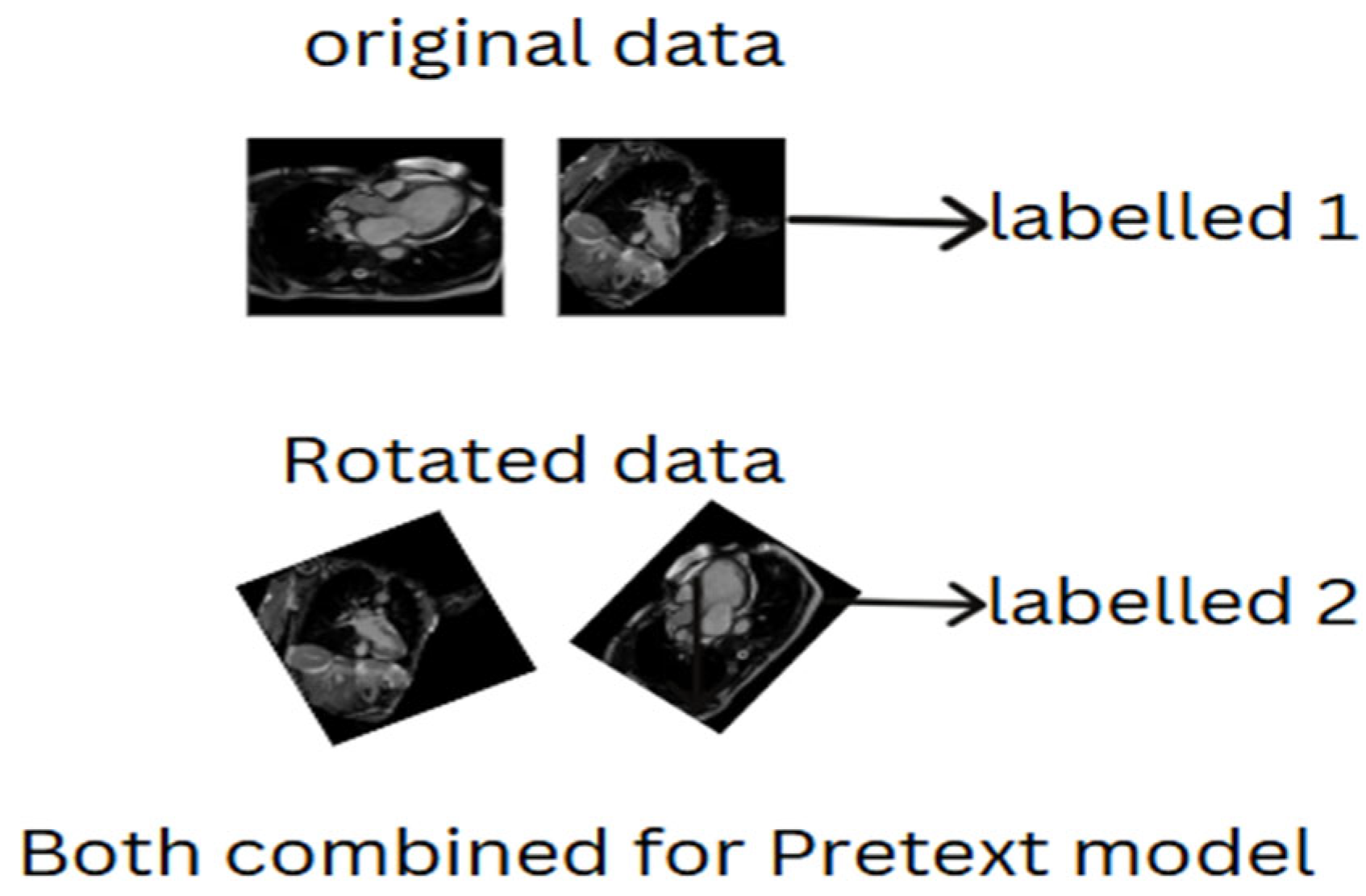 Diagnostics 15 02618 g001