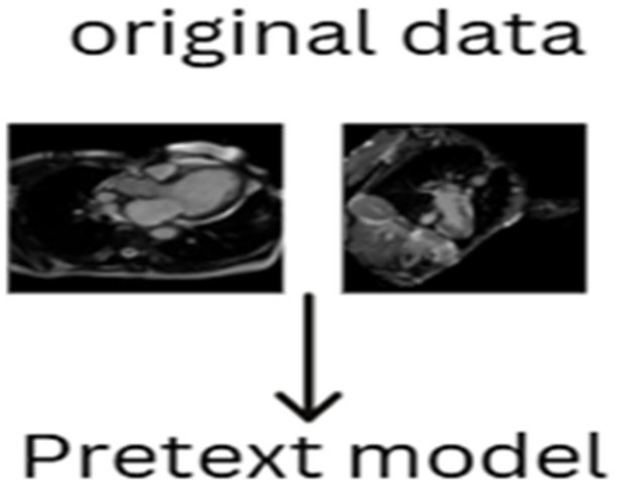 Diagnostics 15 02618 g002