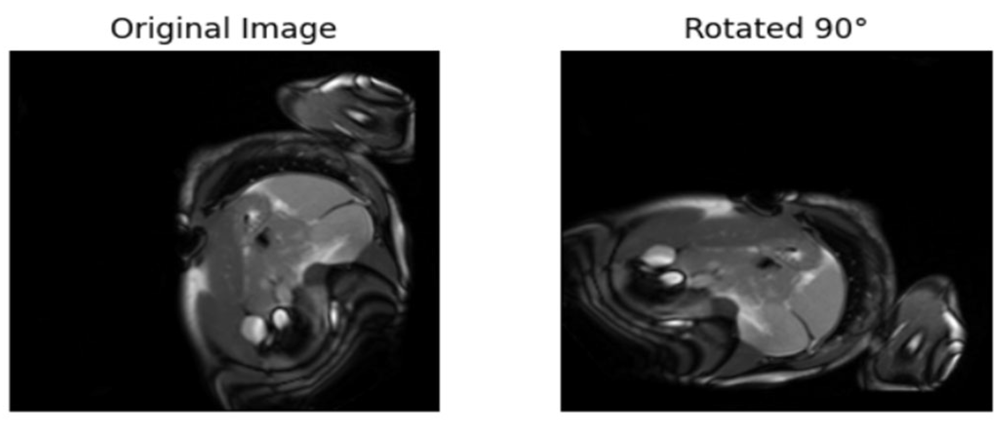 Diagnostics 15 02618 g006