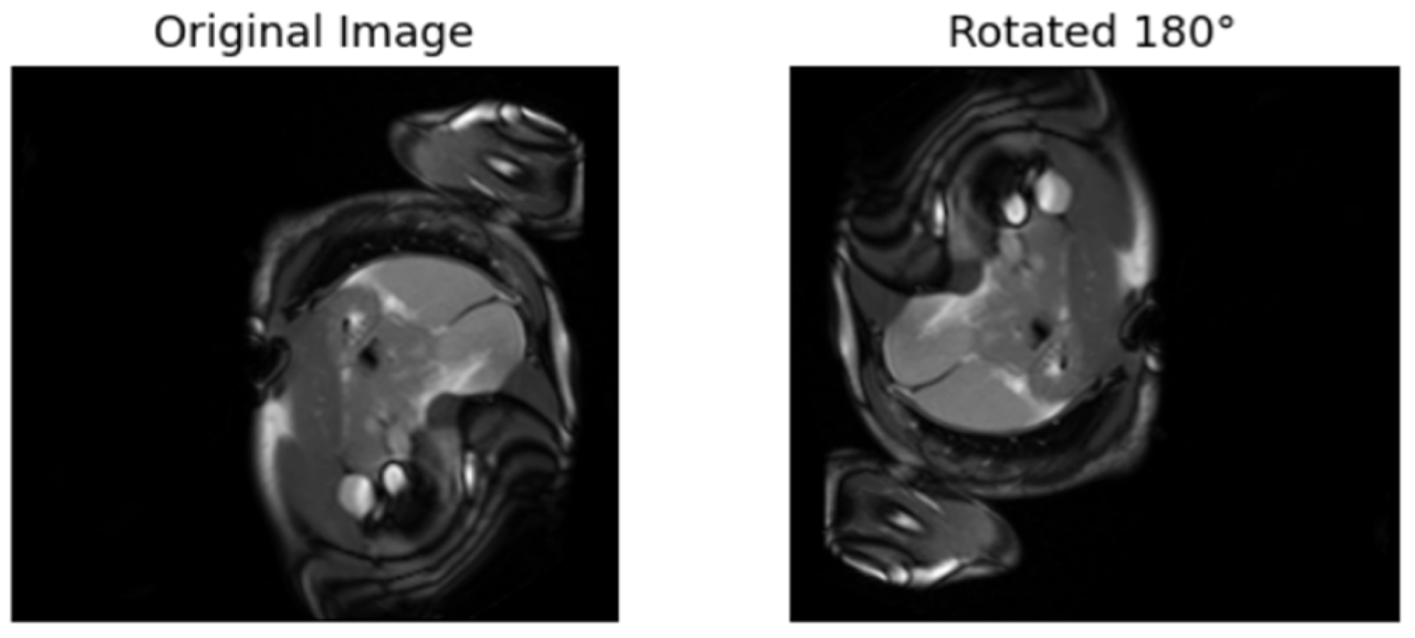 Diagnostics 15 02618 g007
