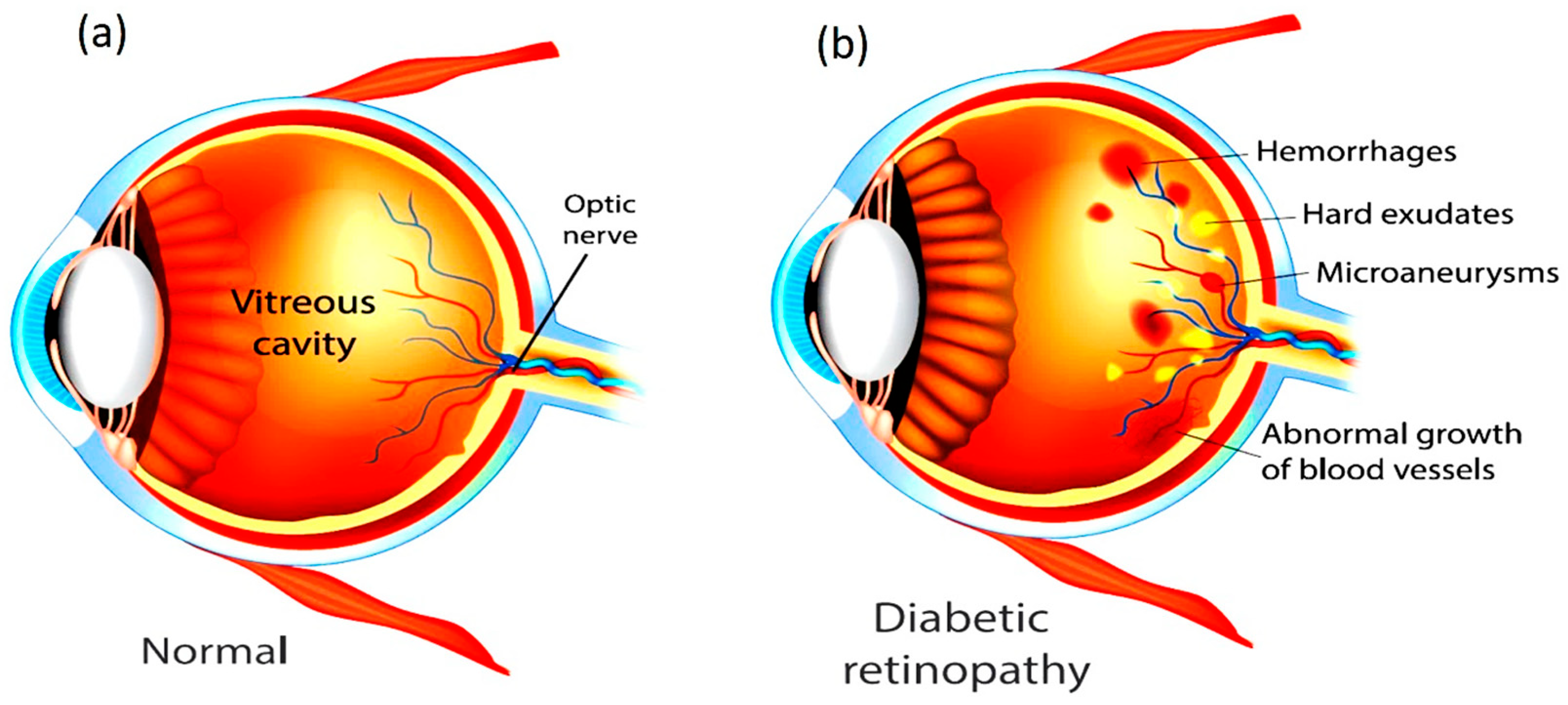 Diagnostics 15 02619 g001