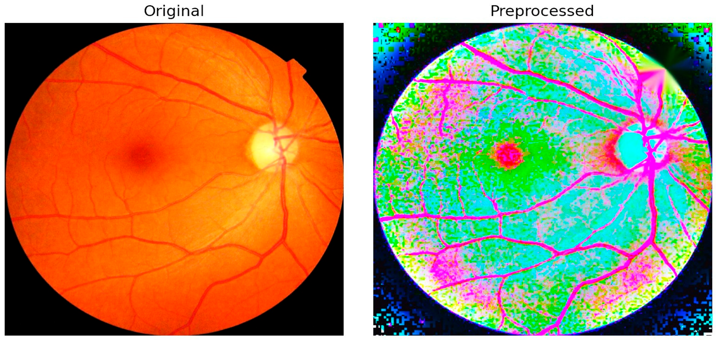 Diagnostics 15 02619 g006