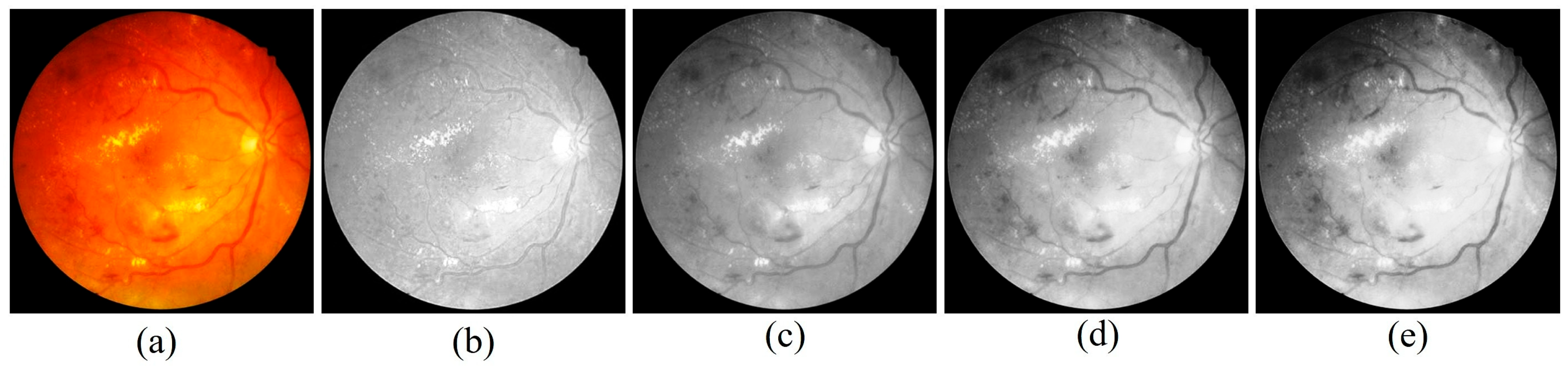 Diagnostics 15 02619 g017