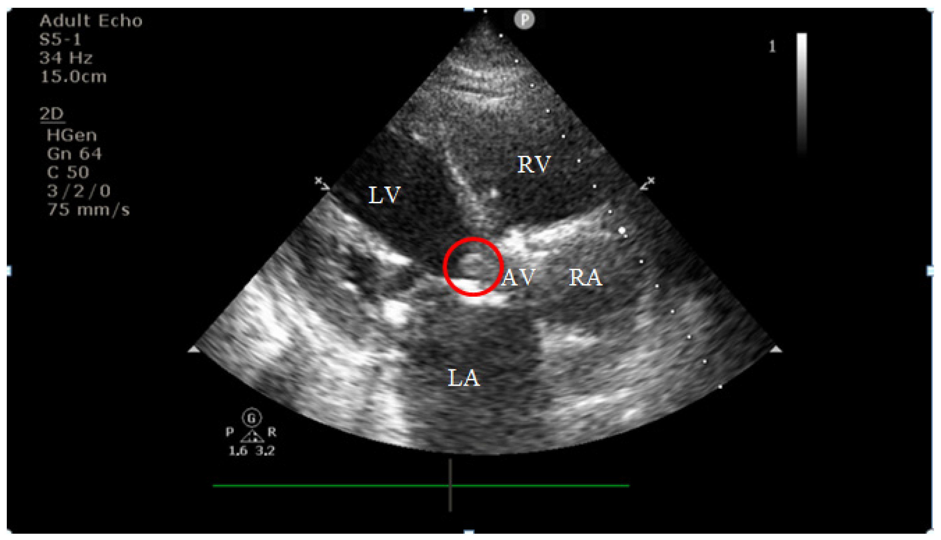 Diagnostics 15 02620 g002