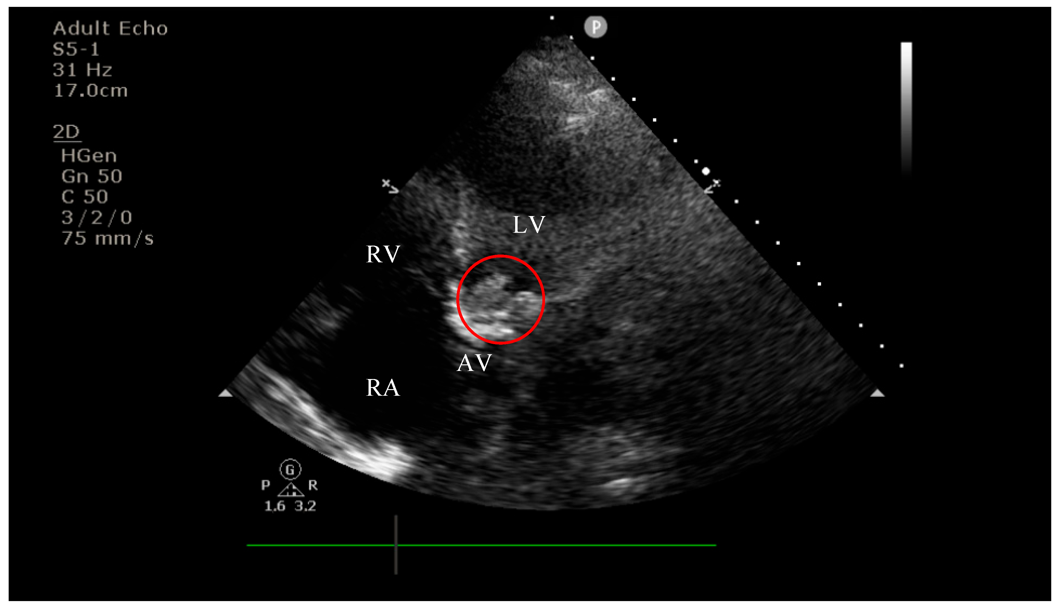 Diagnostics 15 02620 g003