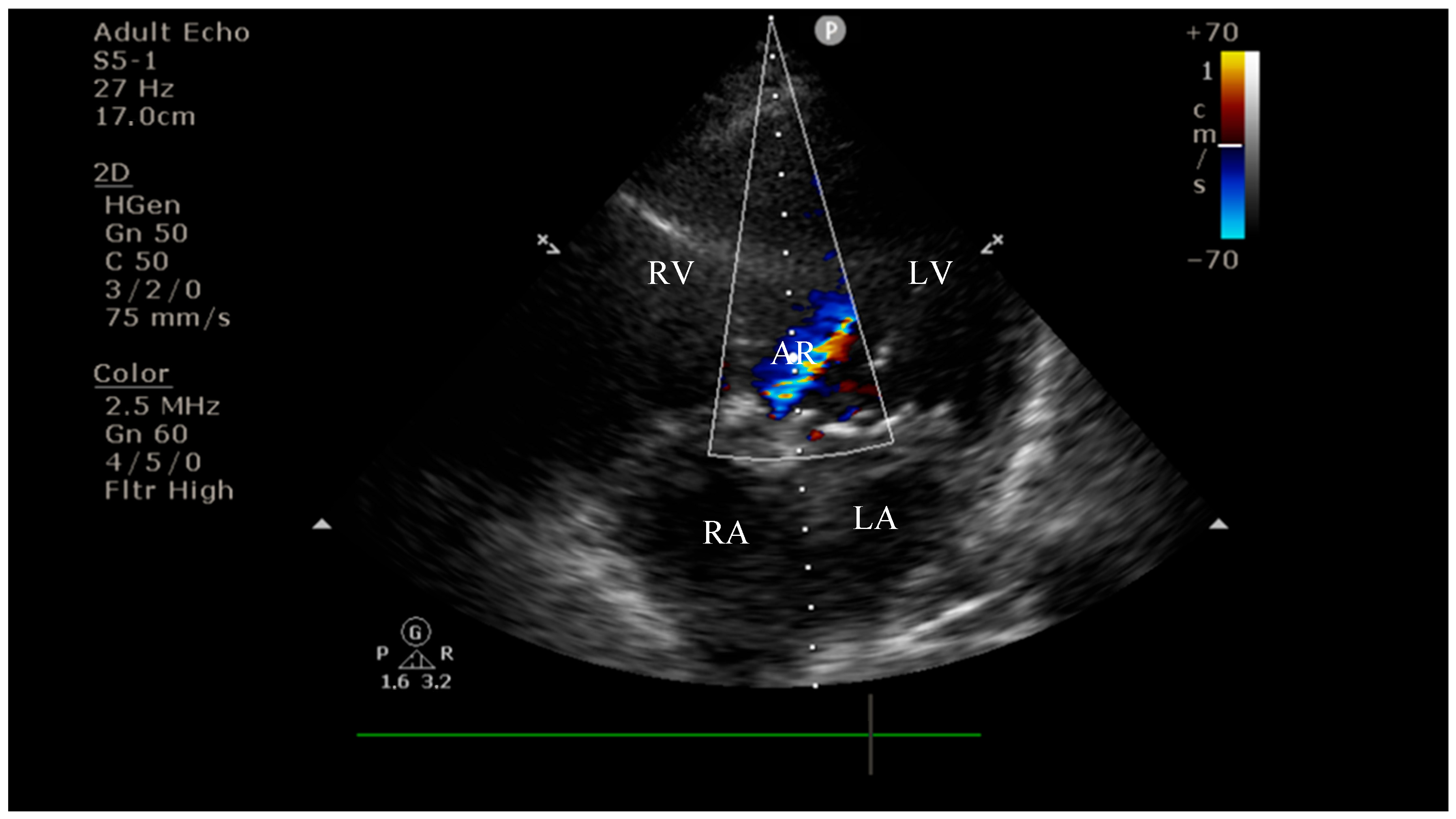 Diagnostics 15 02620 g006