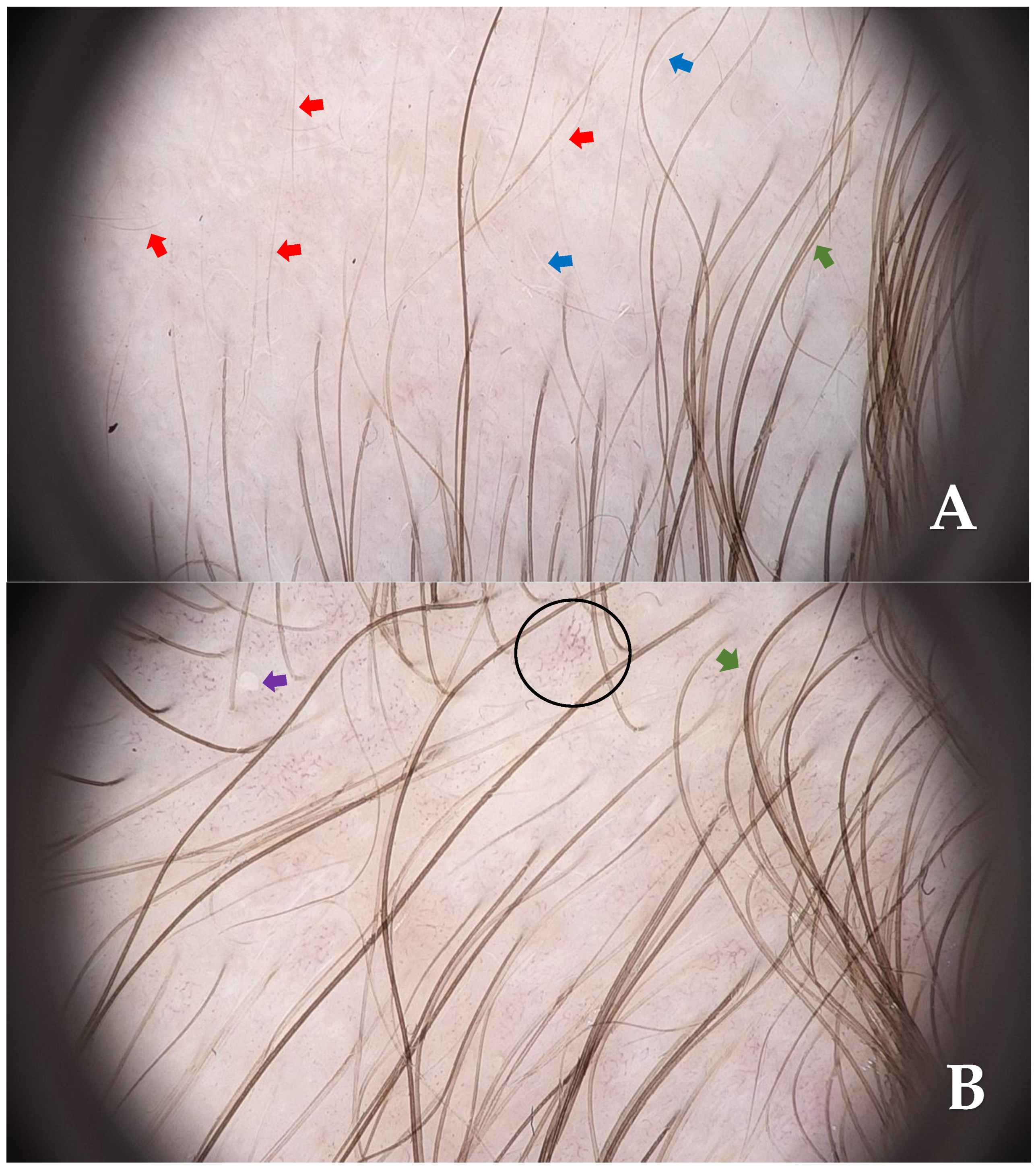 Diagnostics 15 02621 g002