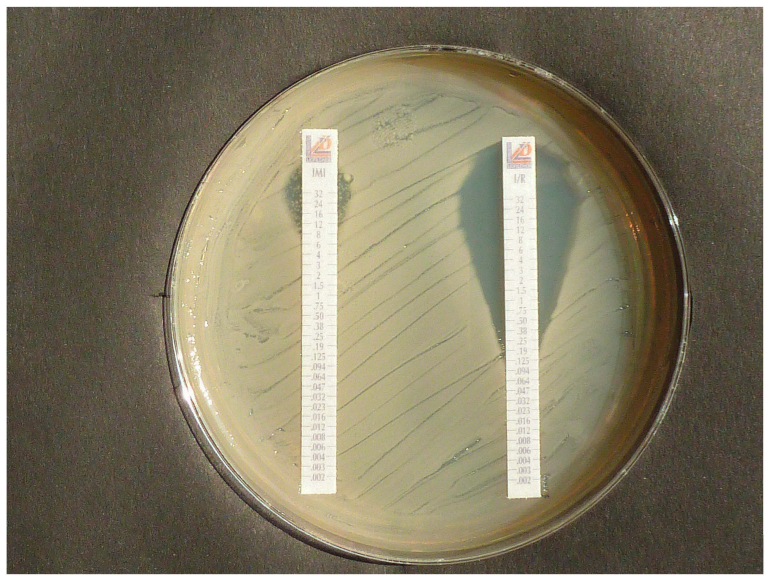 Diagnostics 15 02624 g001 Diagnostics 15 02624 g001