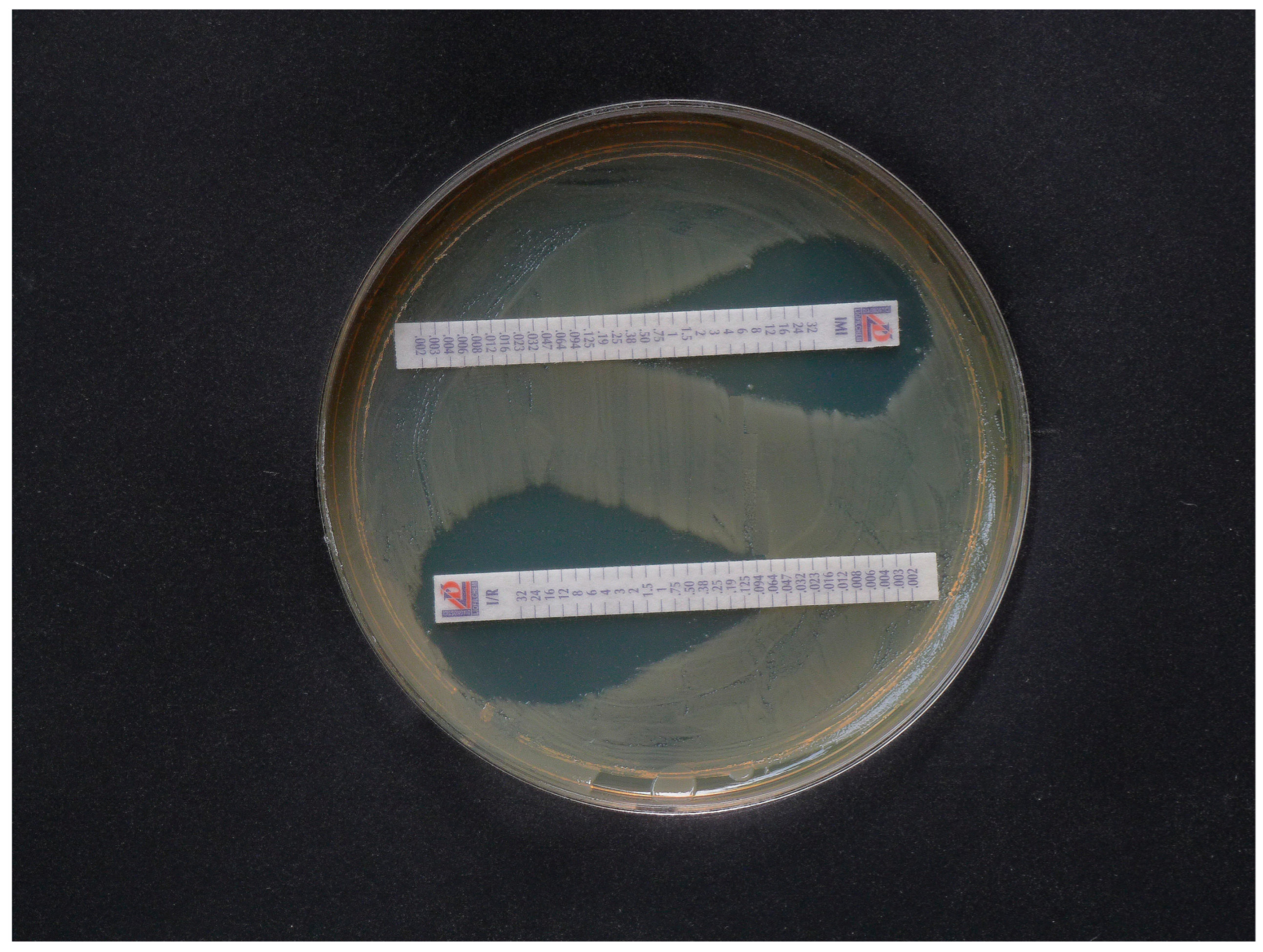 Diagnostics 15 02624 g002 Diagnostics 15 02624 g002