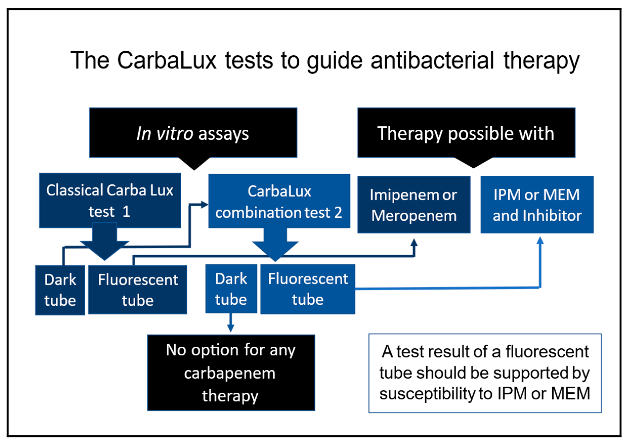Diagnostics 15 02624 sch001 Diagnostics 15 02624 sch001