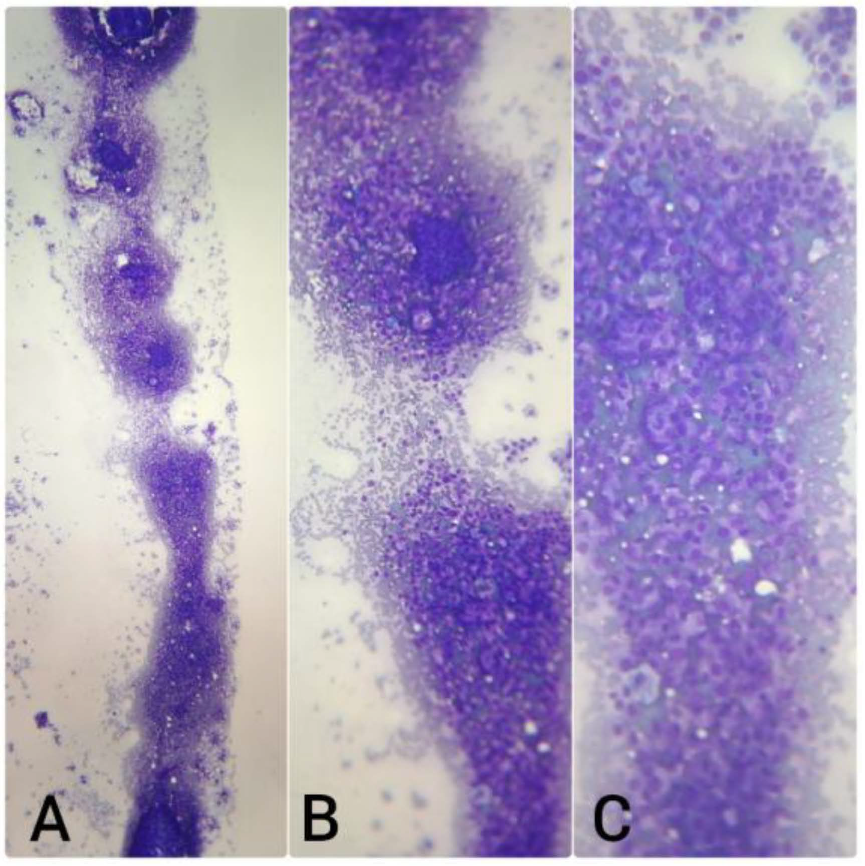 Diagnostics 15 02628 i003