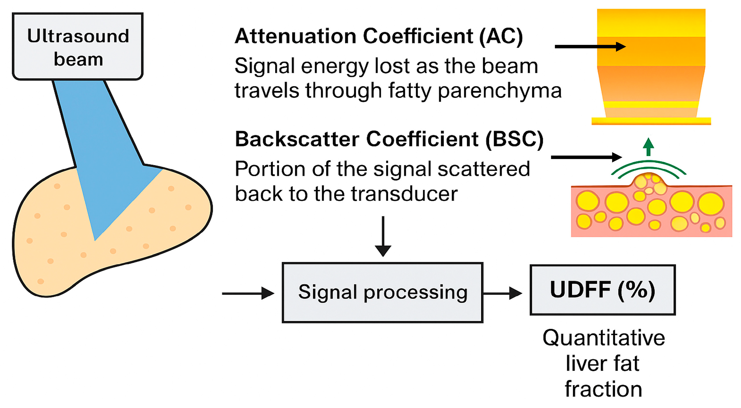 Diagnostics 15 02640 g001 Diagnostics 15 02640 g001