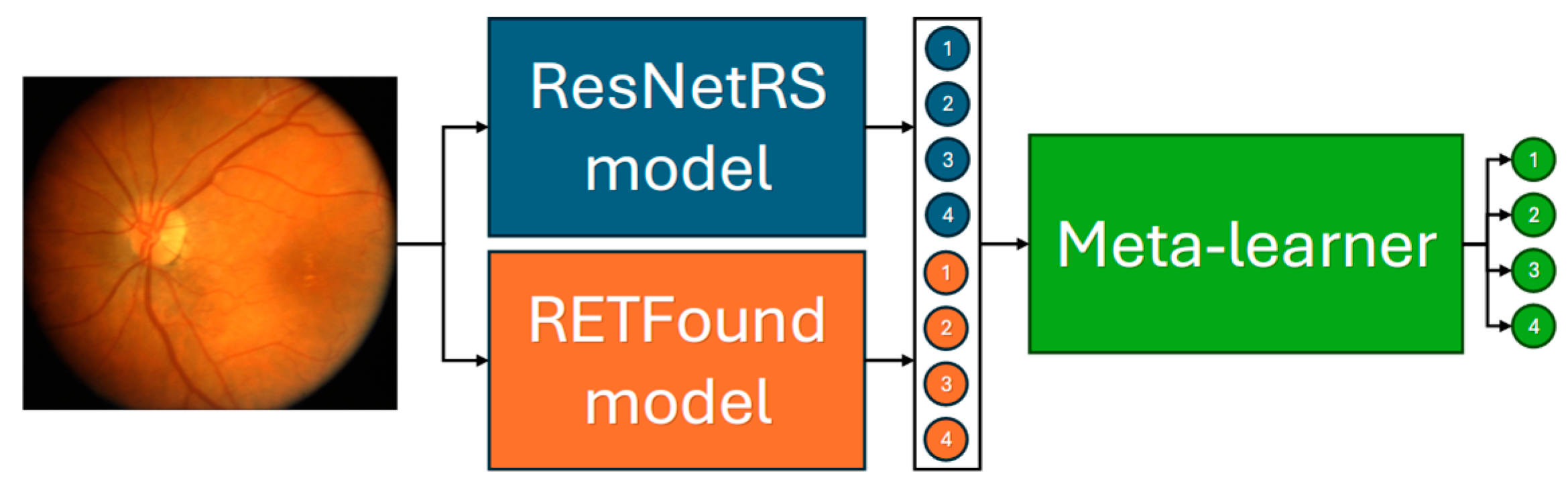 Diagnostics 15 02644 g001