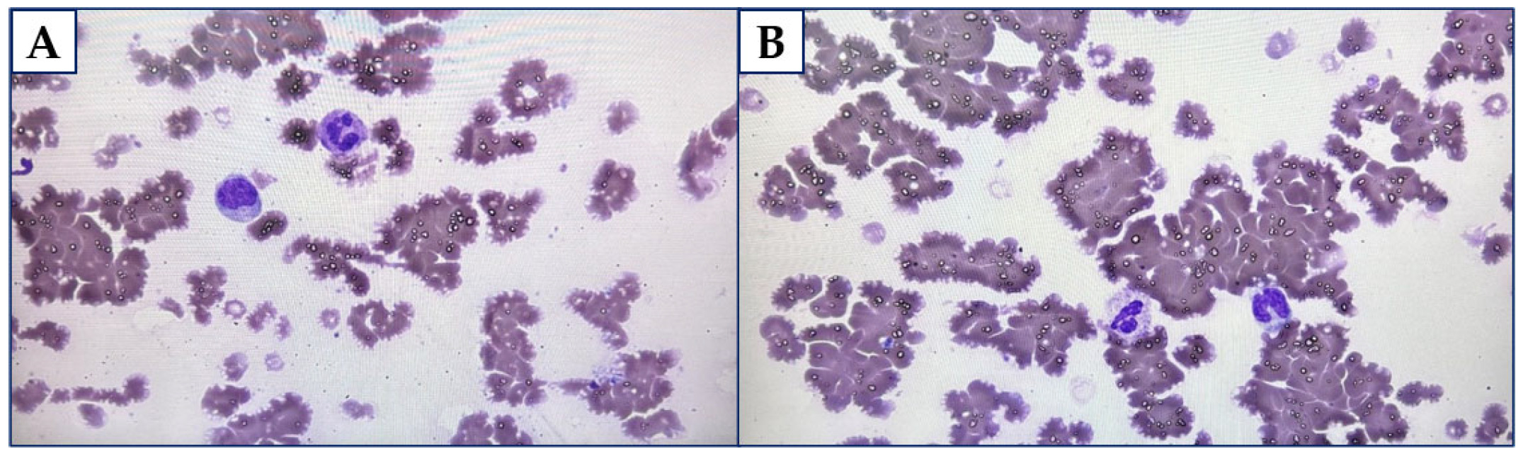 Diagnostics 15 02654 g001