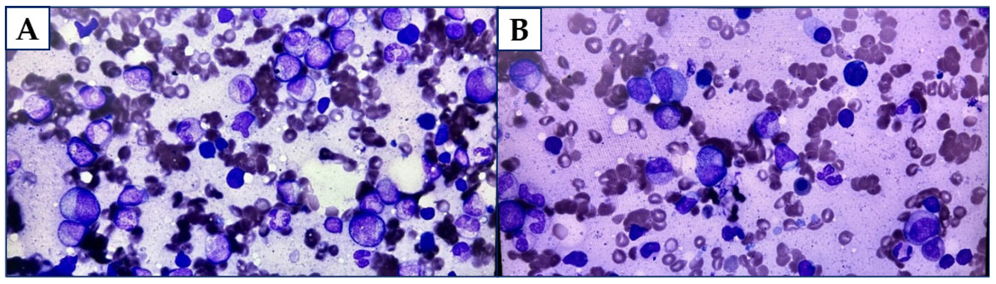 Diagnostics 15 02654 g003