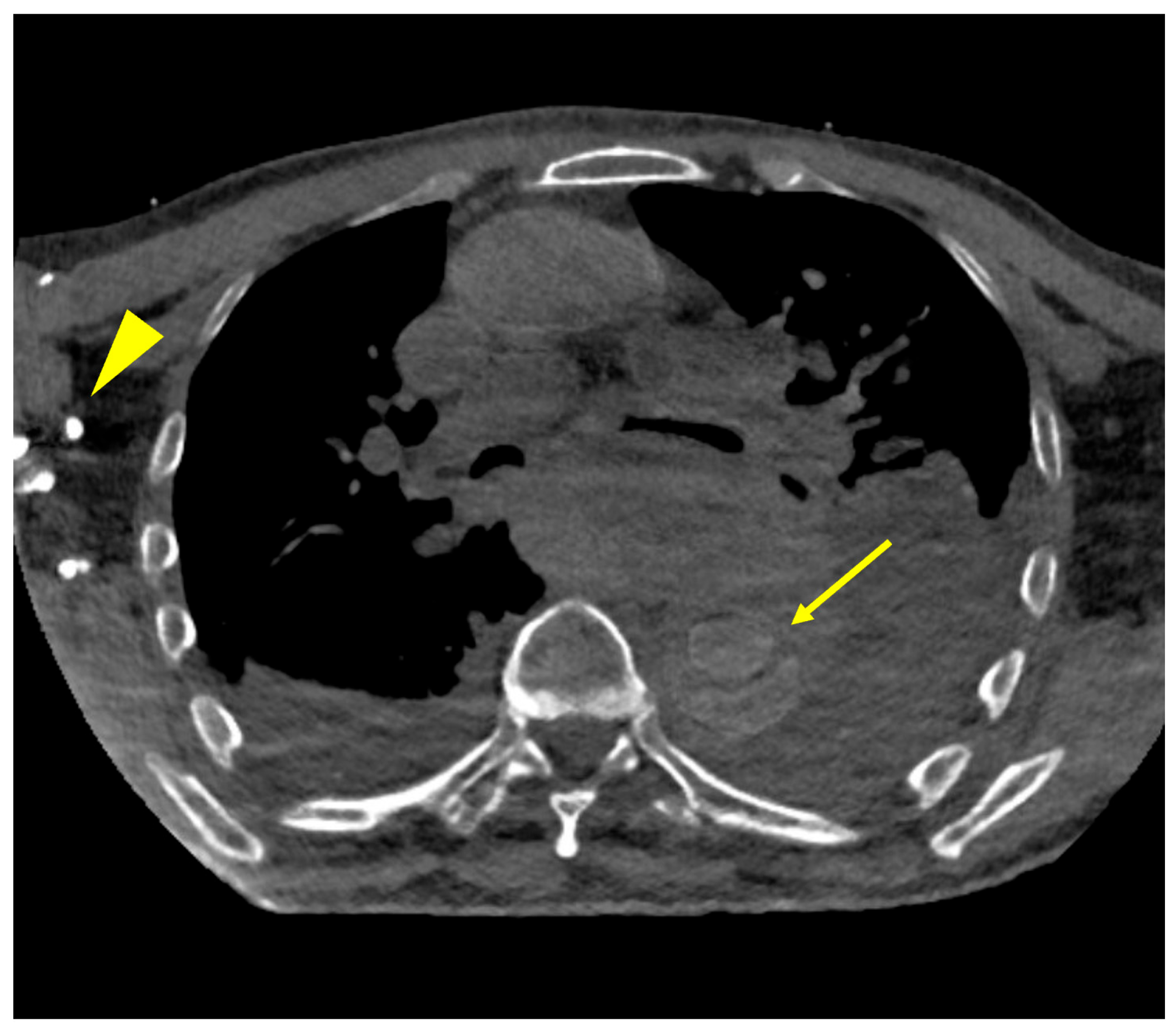 Diagnostics 15 02655 g007