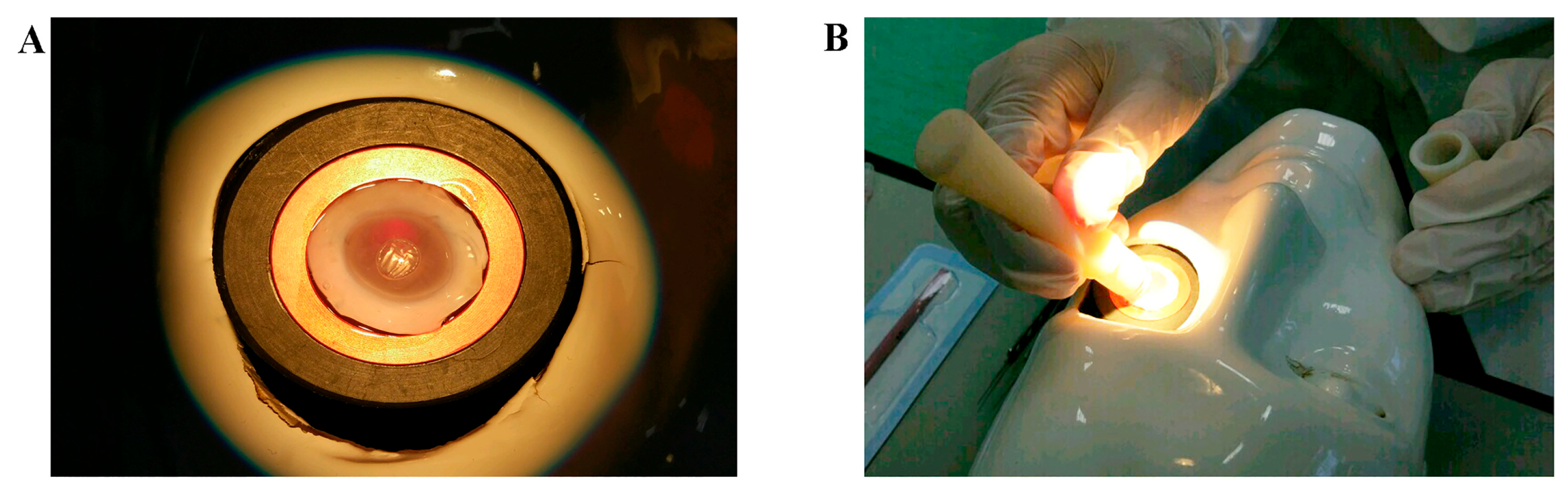 Diagnostics 15 02660 g003 Diagnostics 15 02660 g003