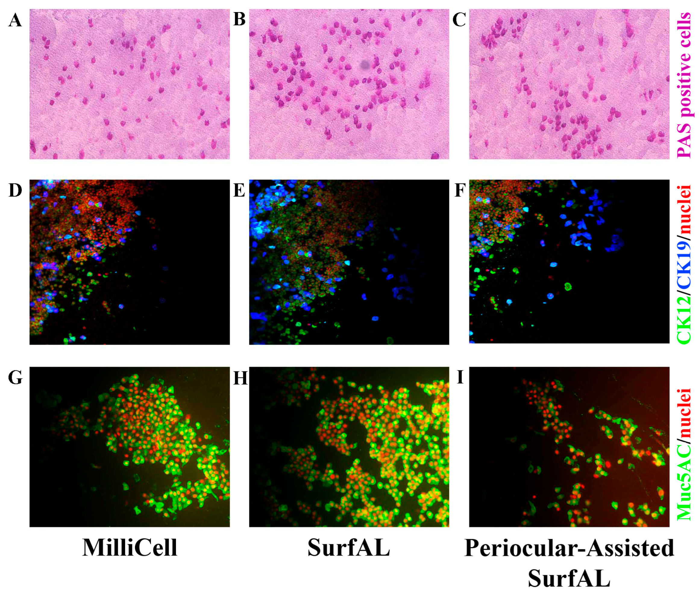 Diagnostics 15 02660 g006 Diagnostics 15 02660 g006