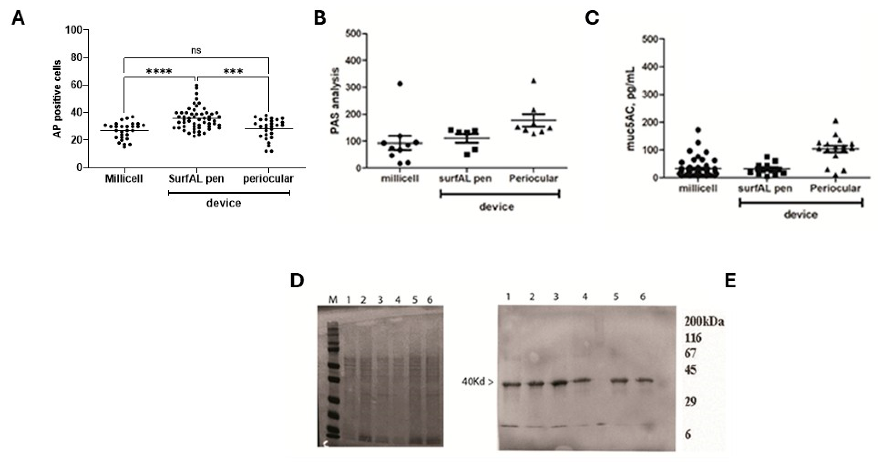 Diagnostics 15 02660 g007 Diagnostics 15 02660 g007