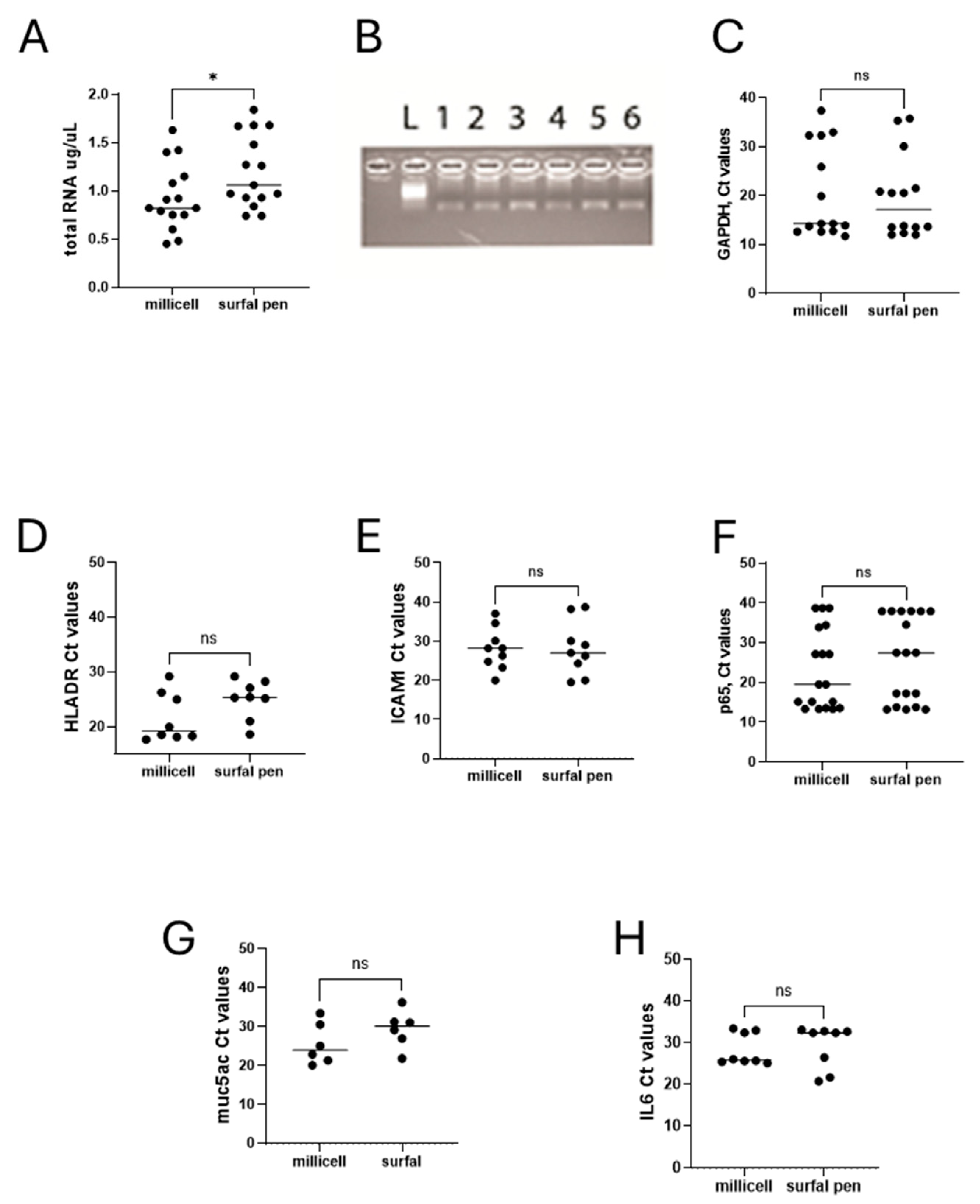 Diagnostics 15 02660 g008 Diagnostics 15 02660 g008