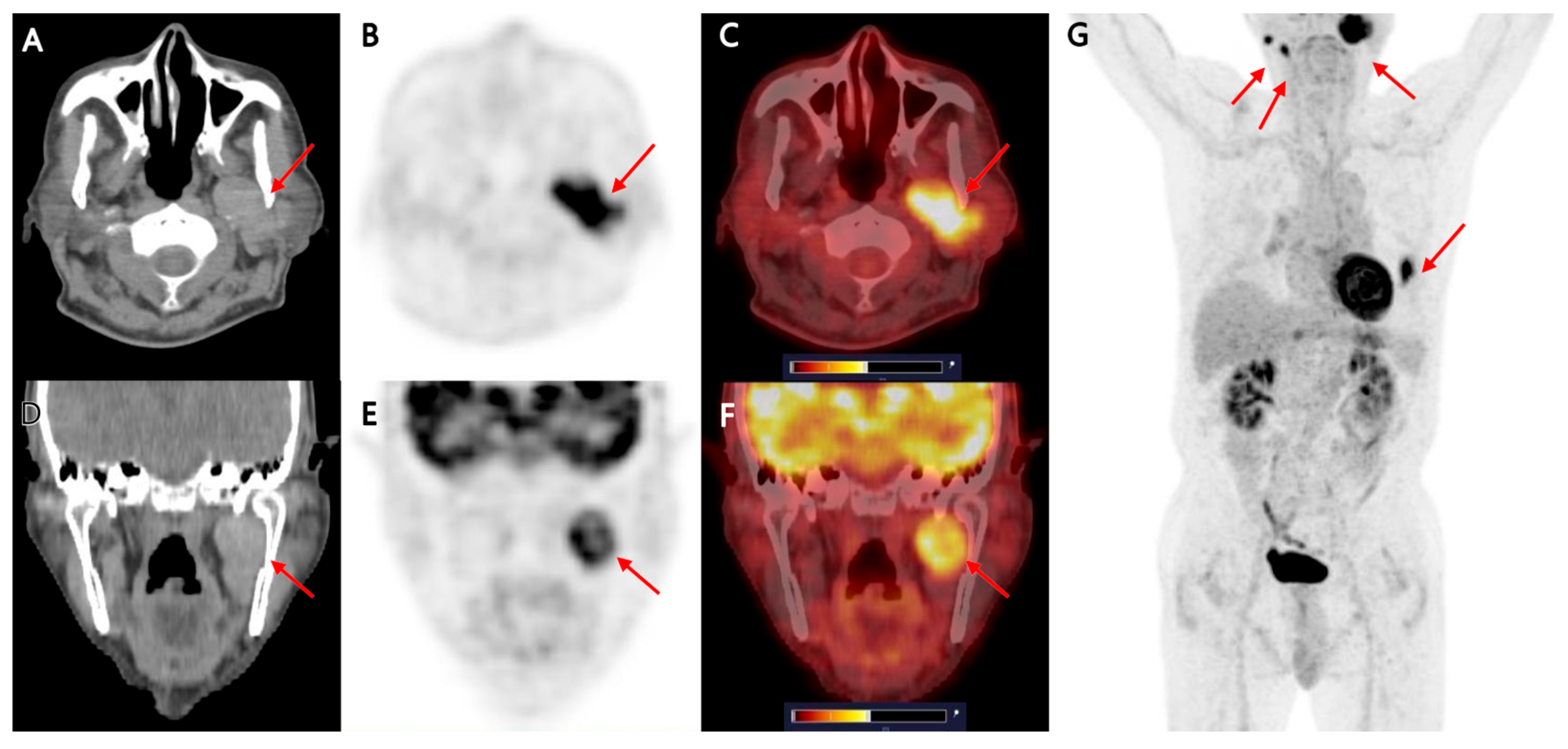 Diagnostics 15 02666 g001