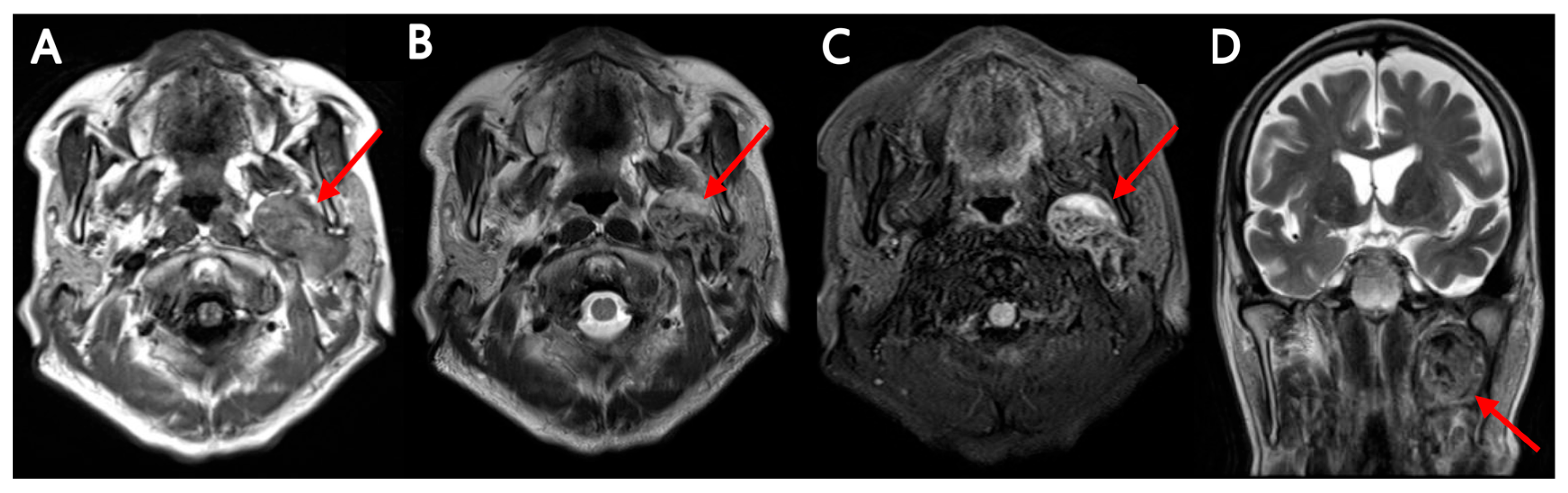 Diagnostics 15 02666 g003