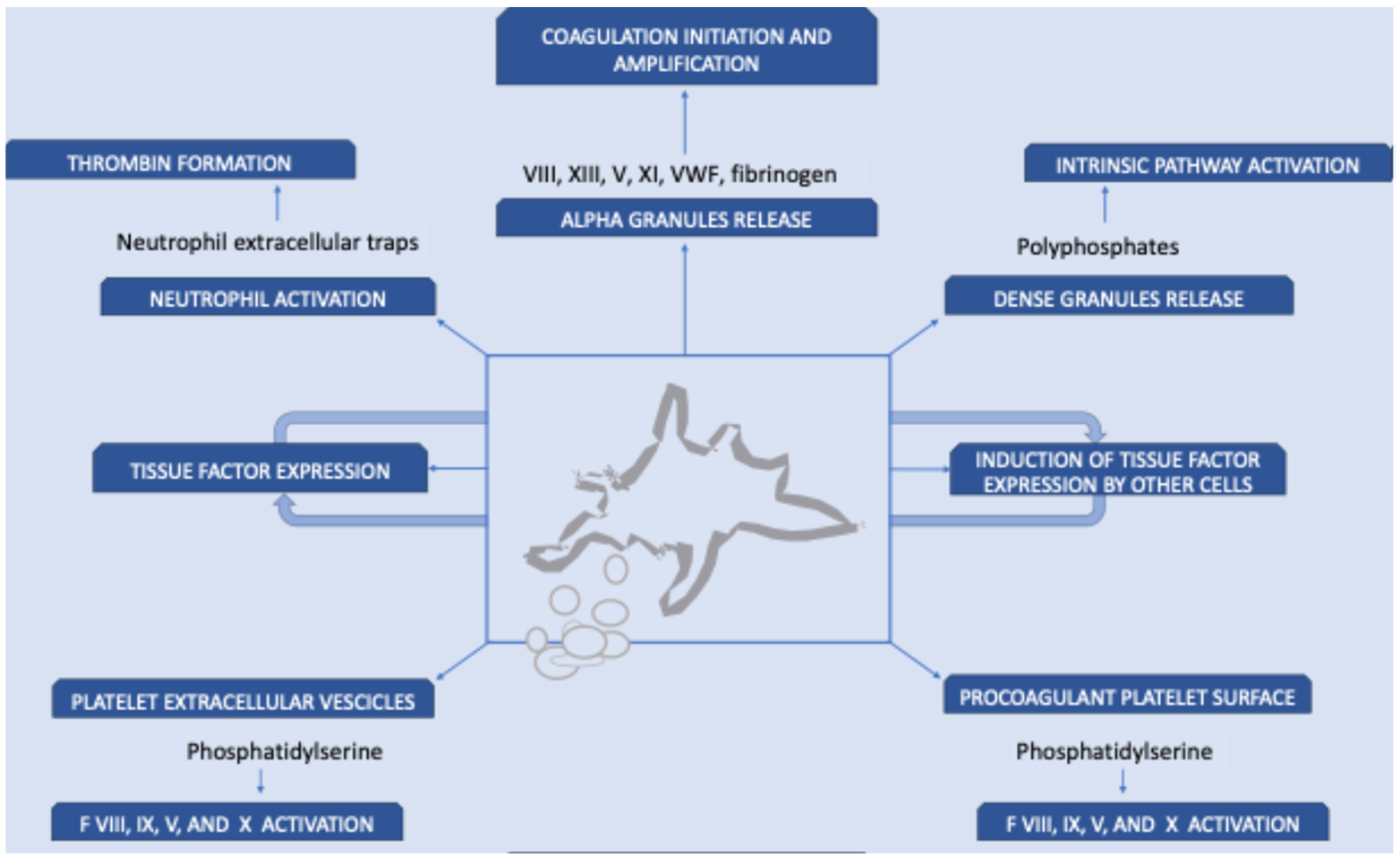 Diagnostics 15 02667 g001