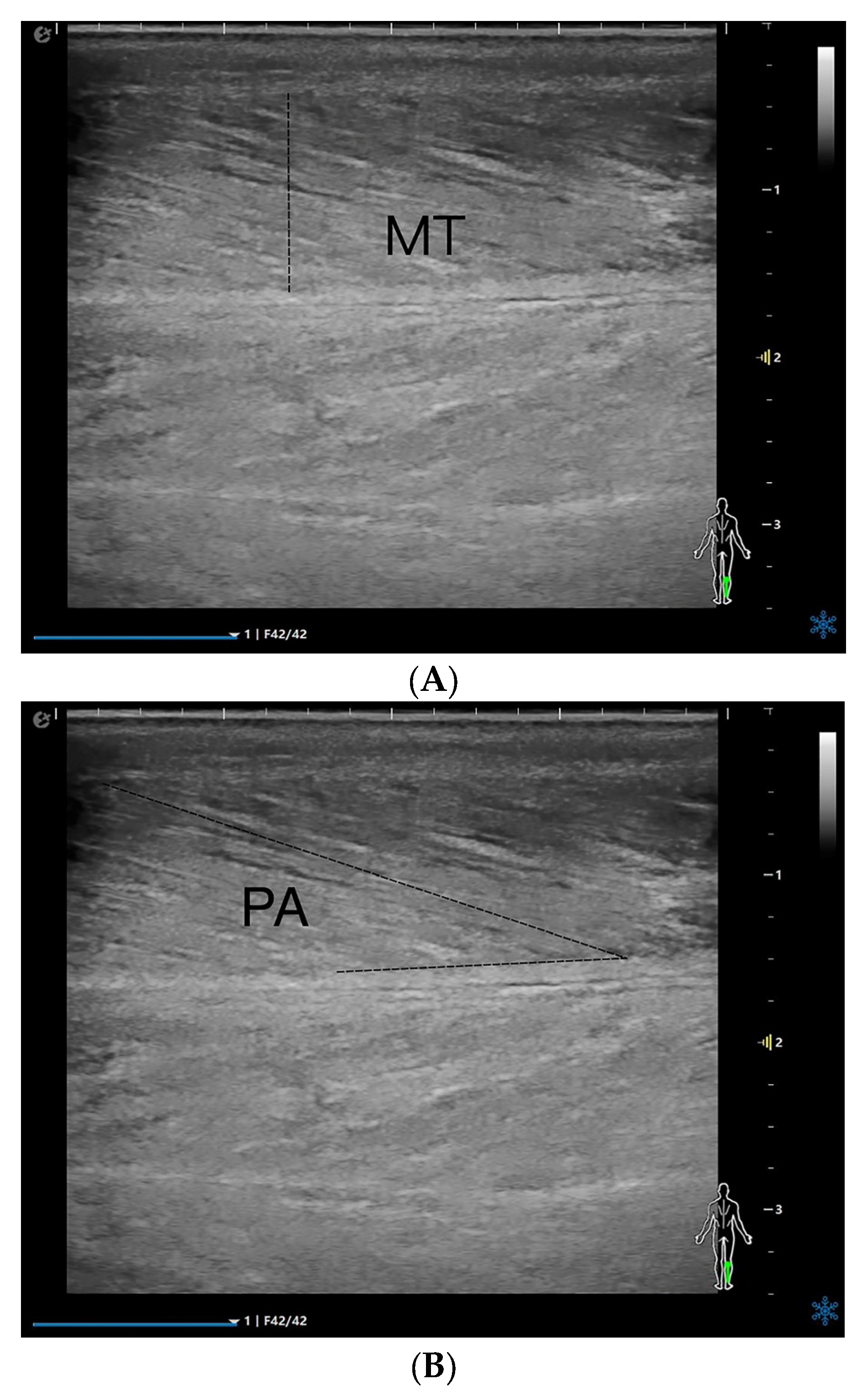 Diagnostics 15 02685 g001a