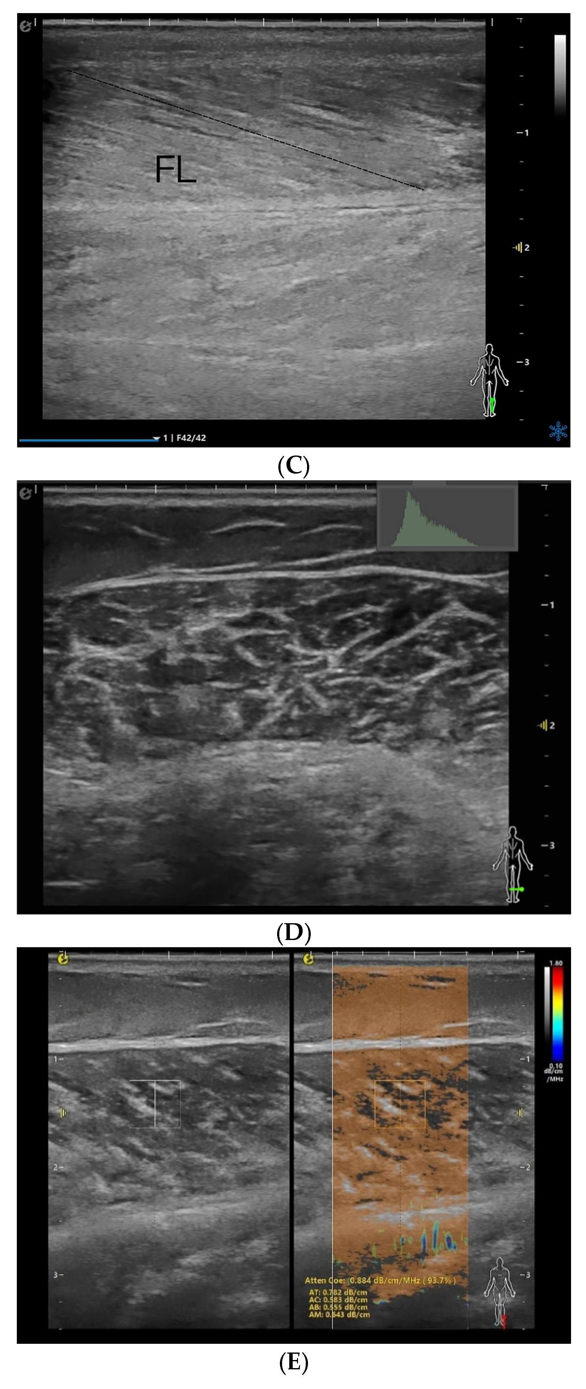 Diagnostics 15 02685 g001b