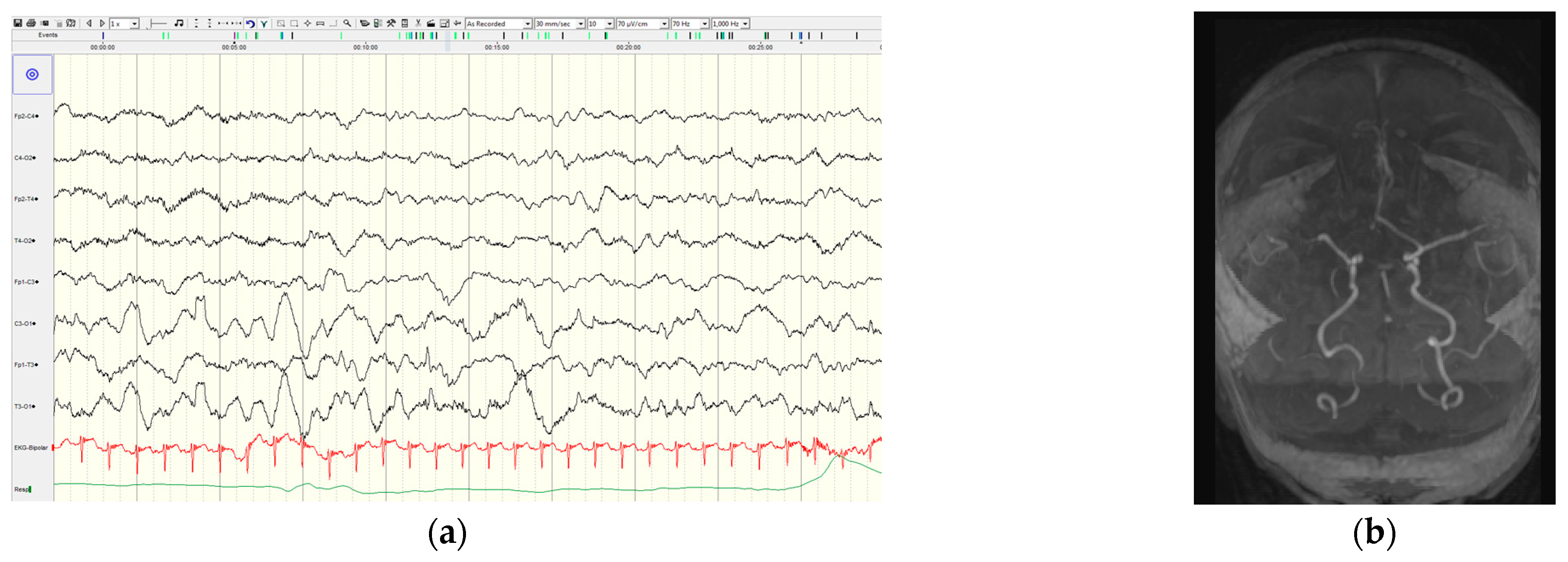 Diagnostics 15 02690 g002