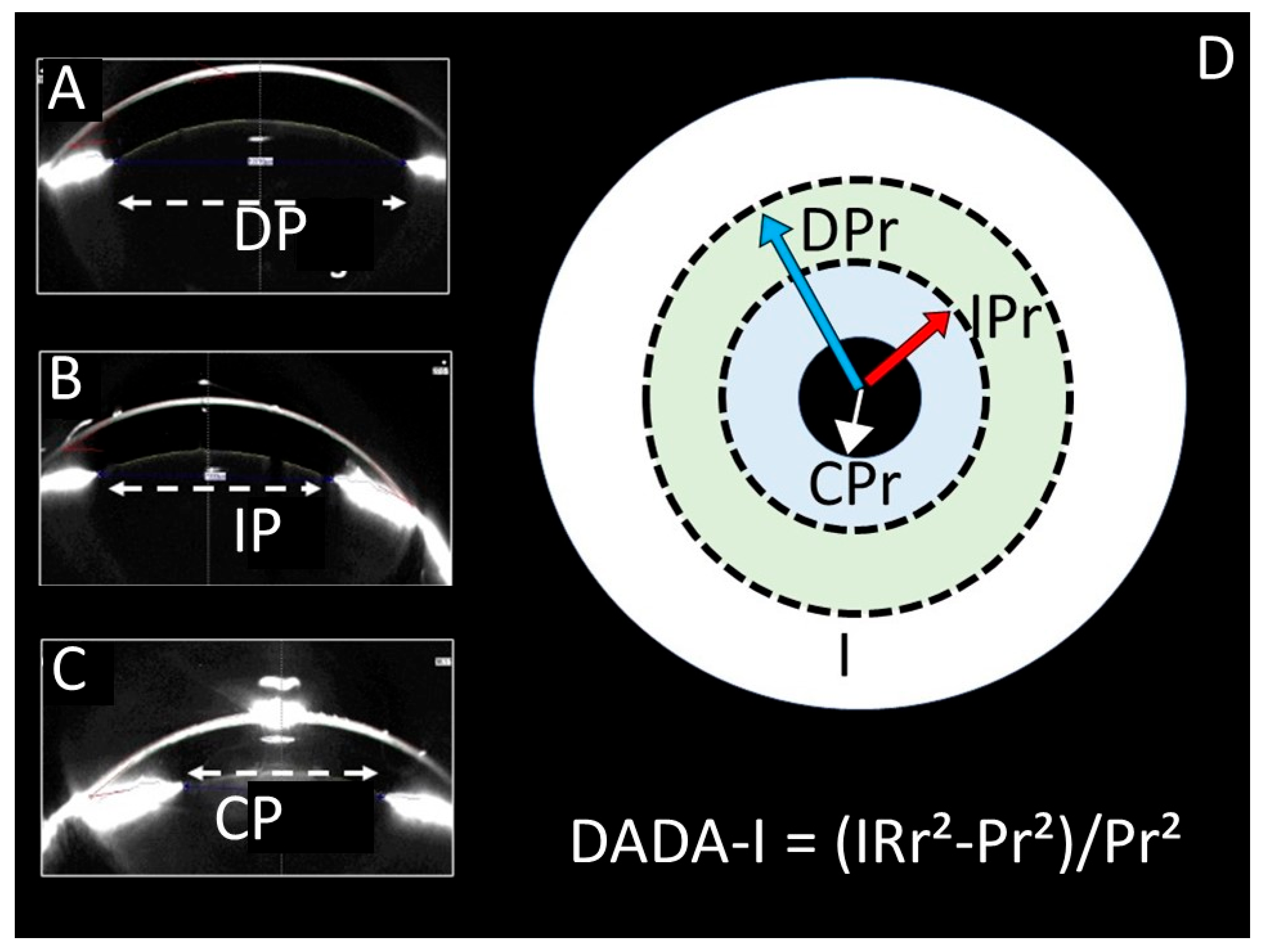 Diagnostics 15 02696 g001