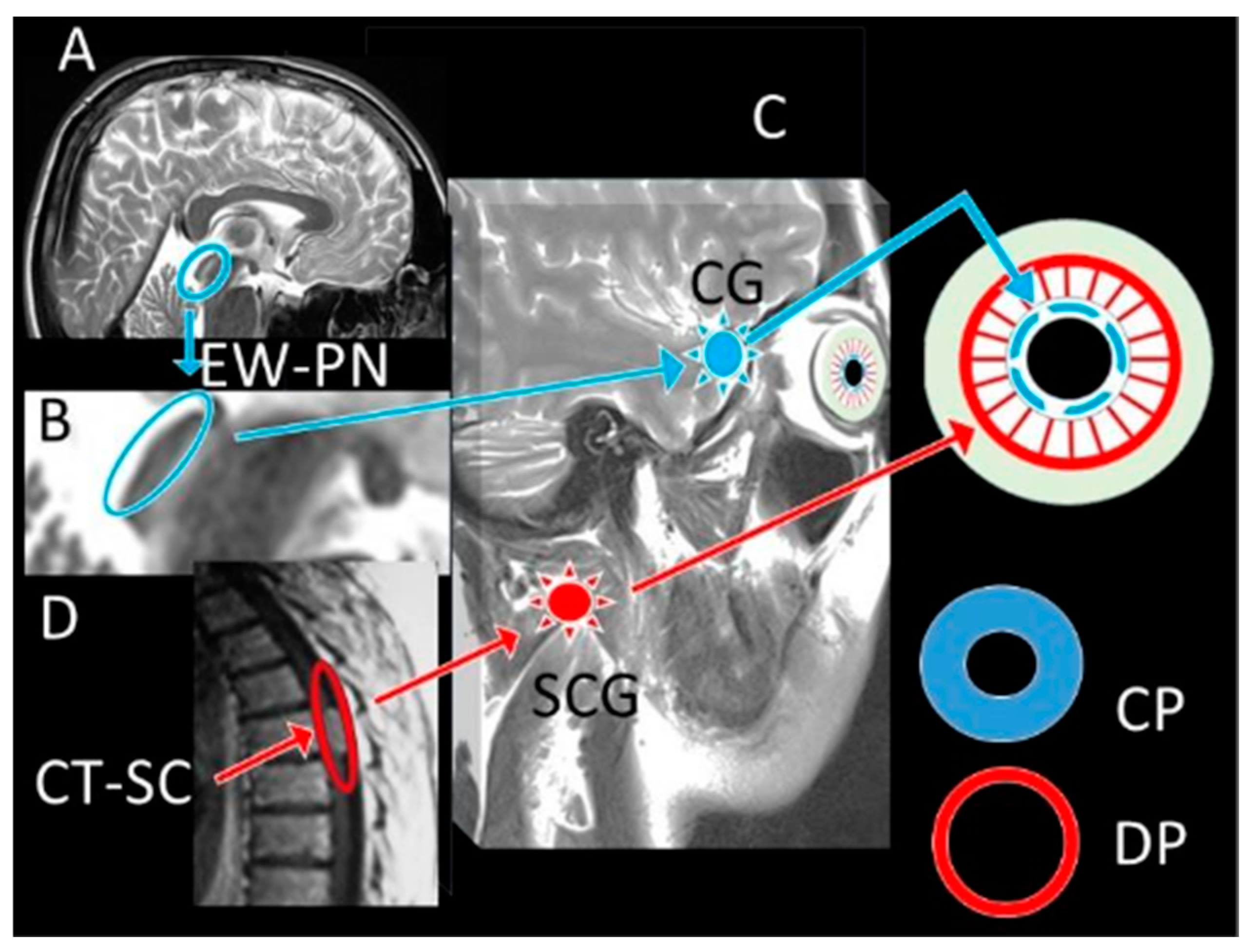Diagnostics 15 02696 g004