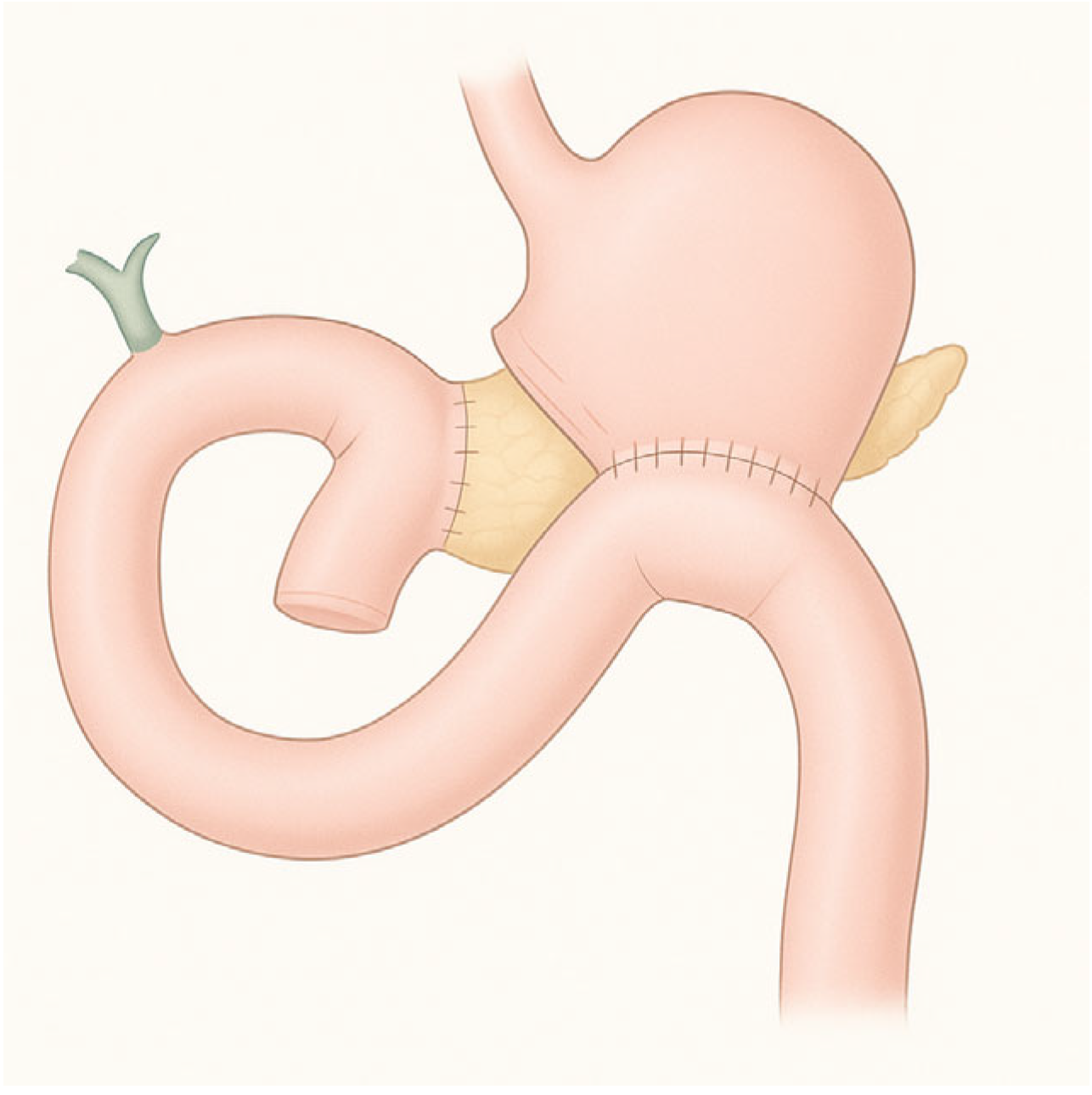Diagnostics 15 02707 g004