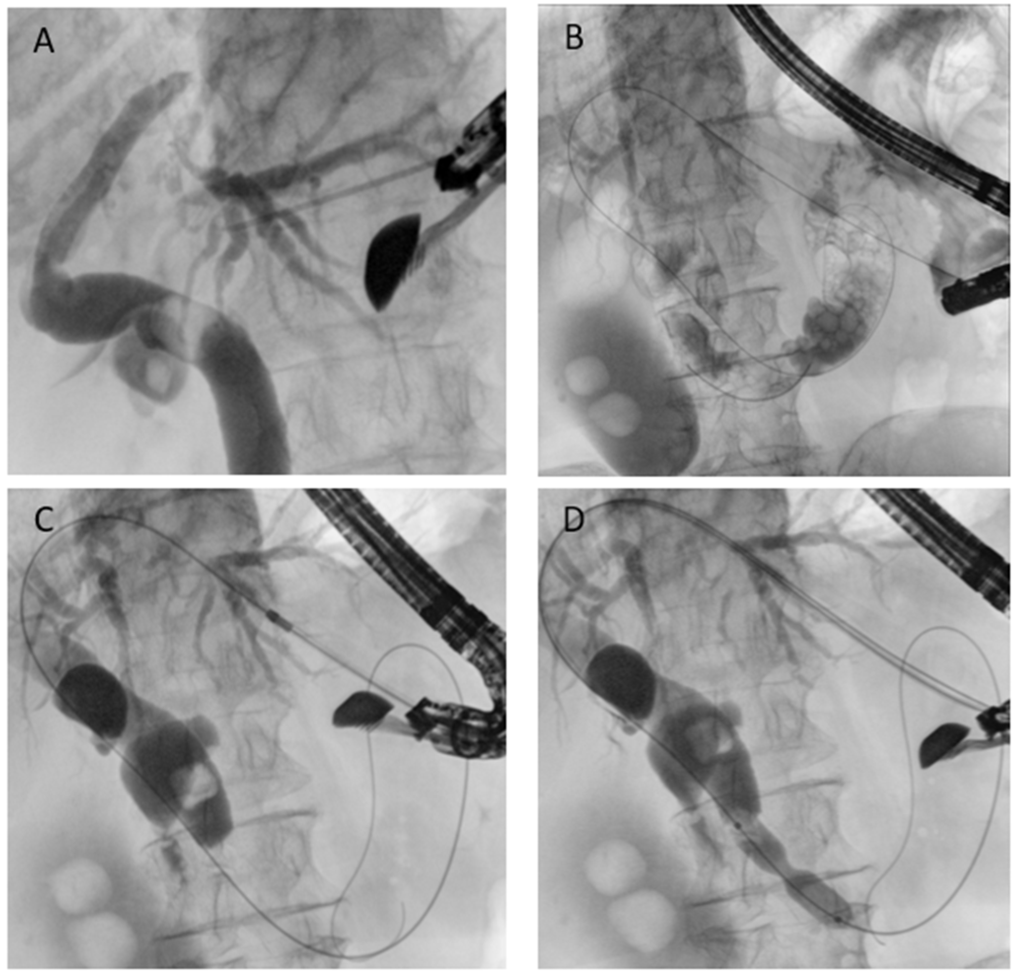 Diagnostics 15 02707 g007