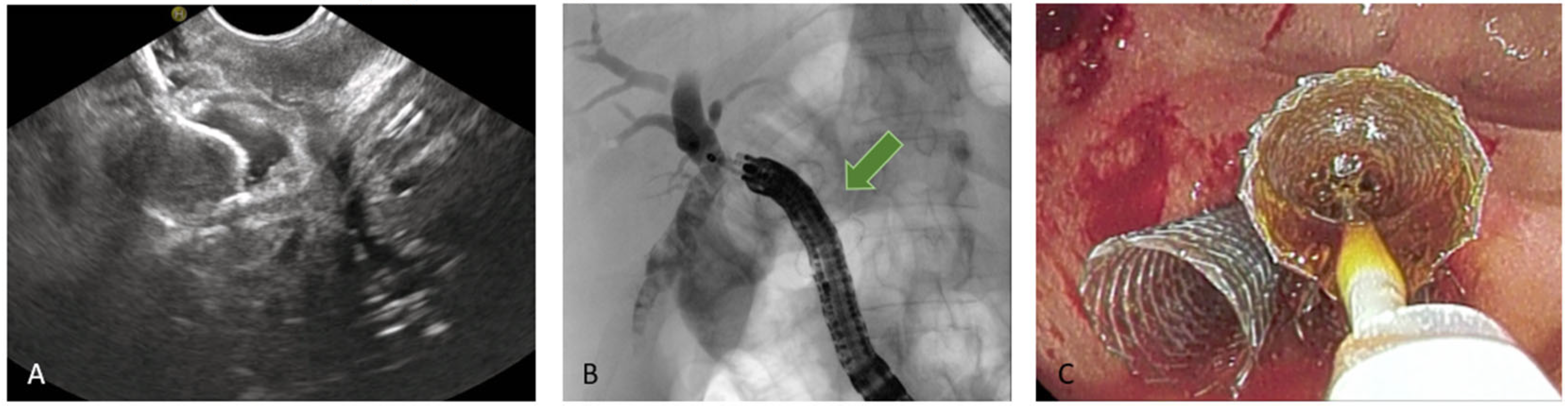 Diagnostics 15 02707 g009
