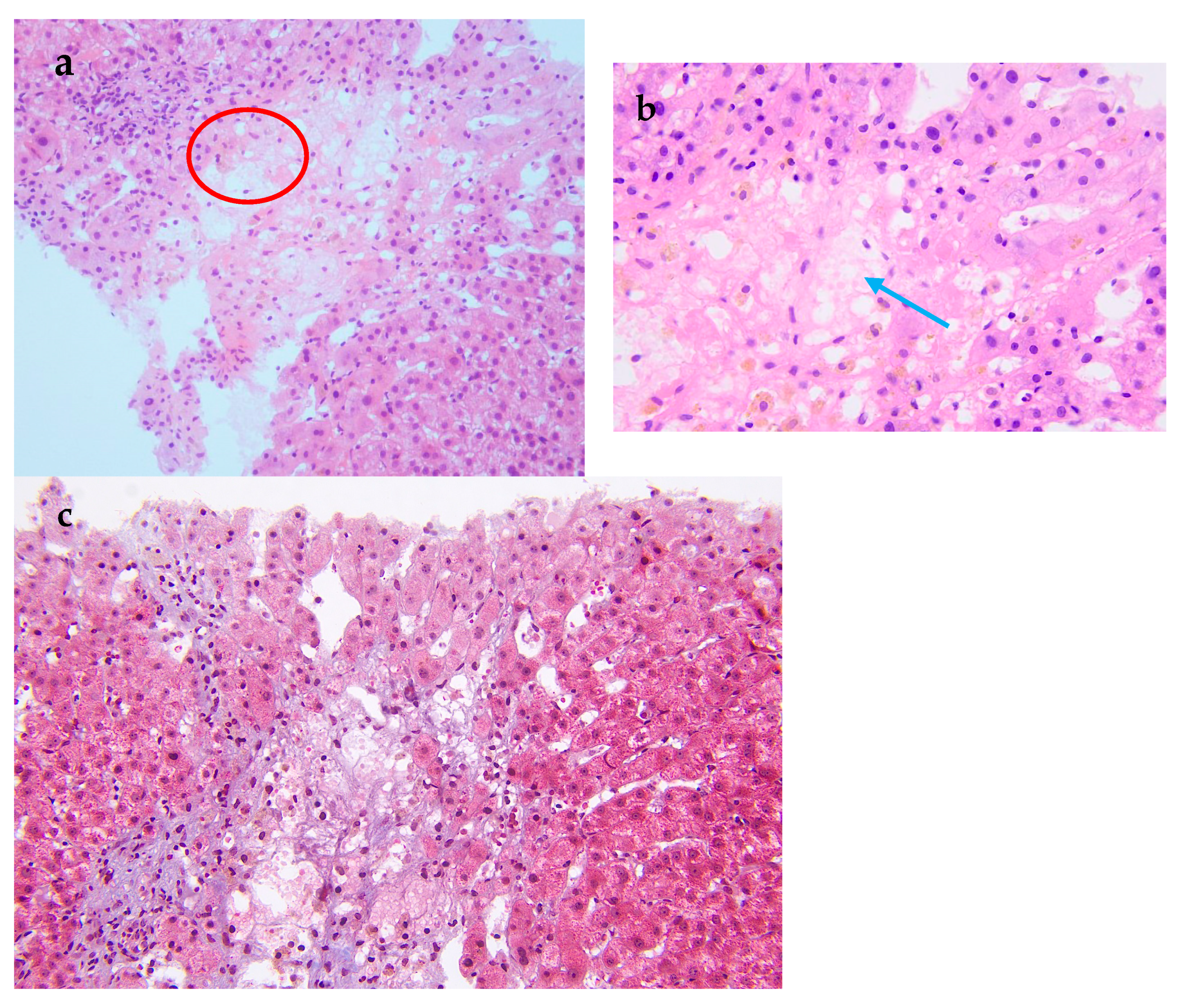 Diagnostics 15 02712 g002