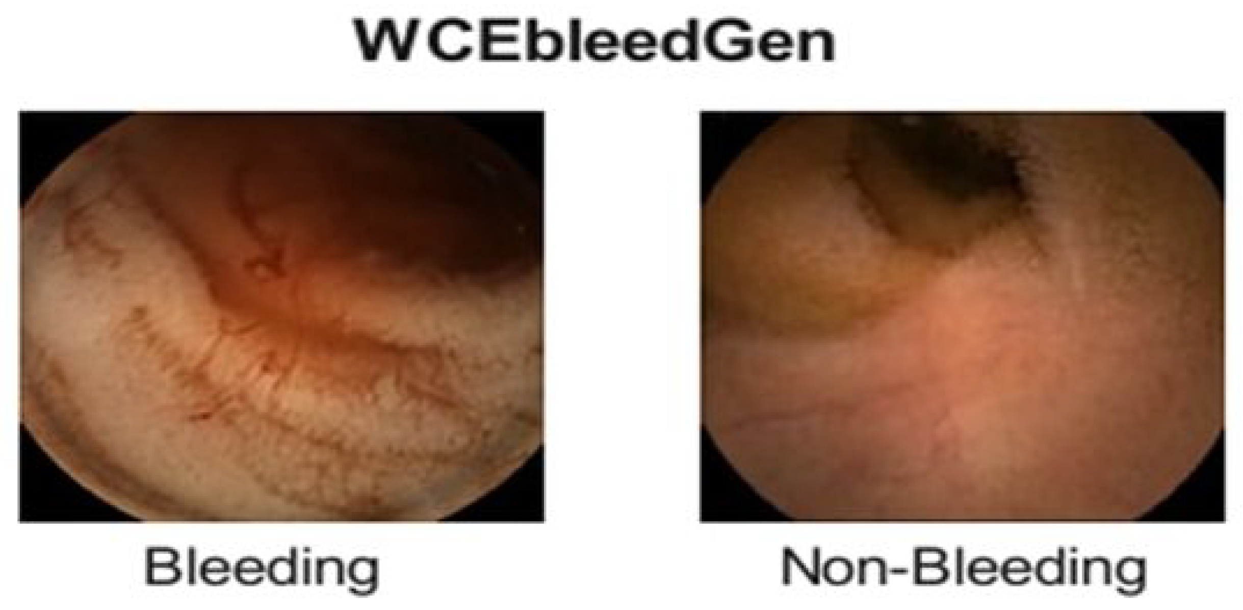 Diagnostics 15 02714 g002