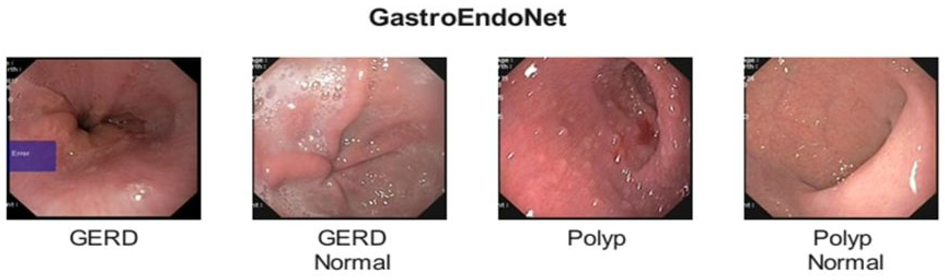 Diagnostics 15 02714 g003